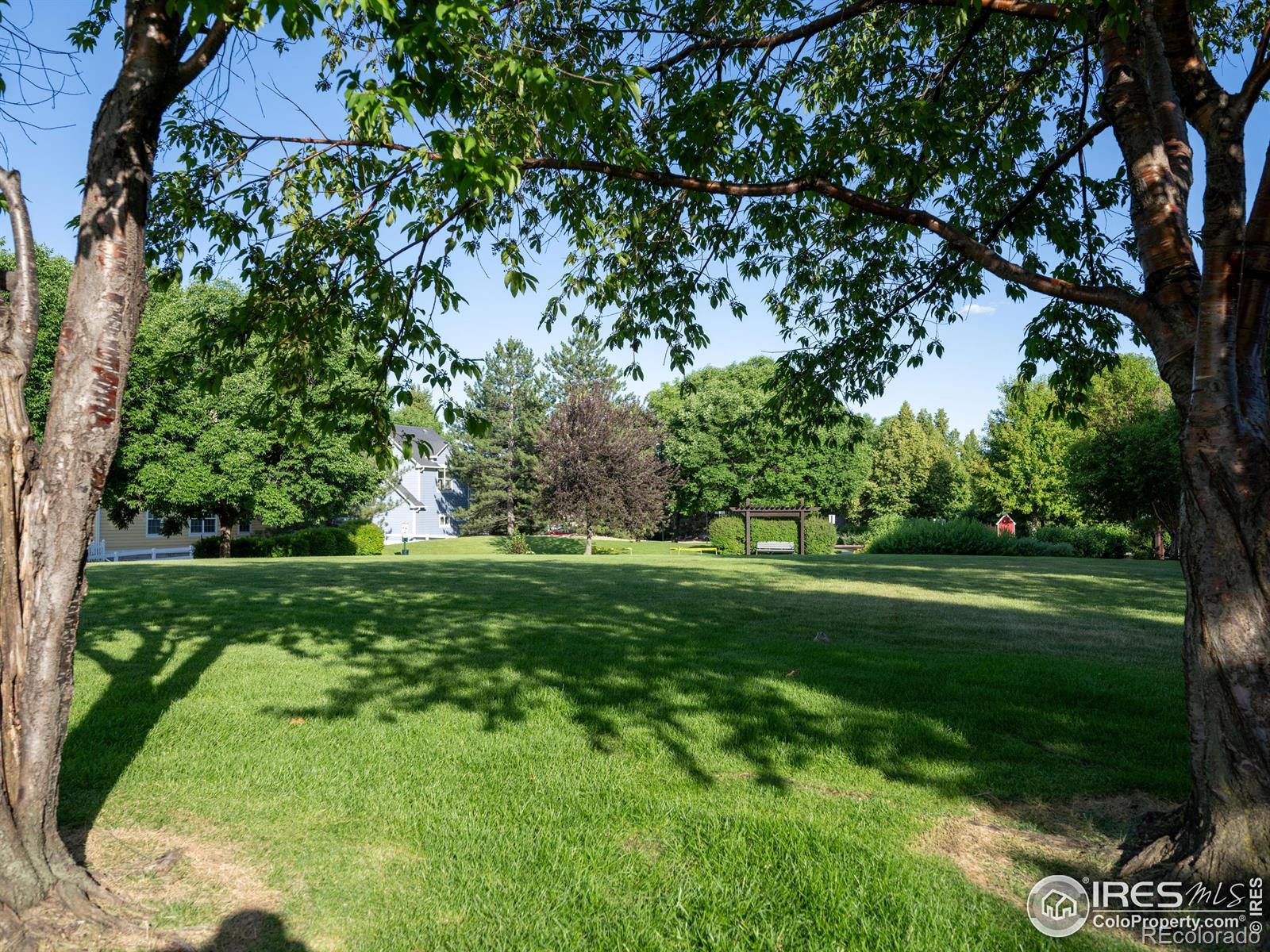 MLS Image #30 for 4085  buffalo mountain drive,loveland, Colorado