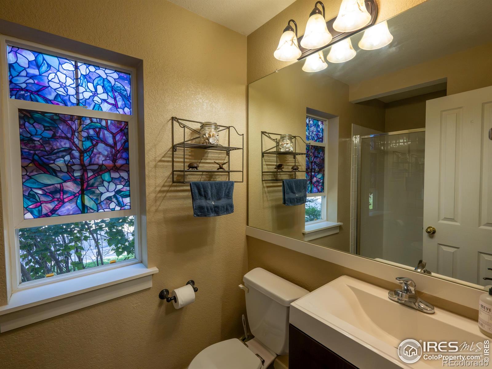 MLS Image #9 for 4085  buffalo mountain drive,loveland, Colorado