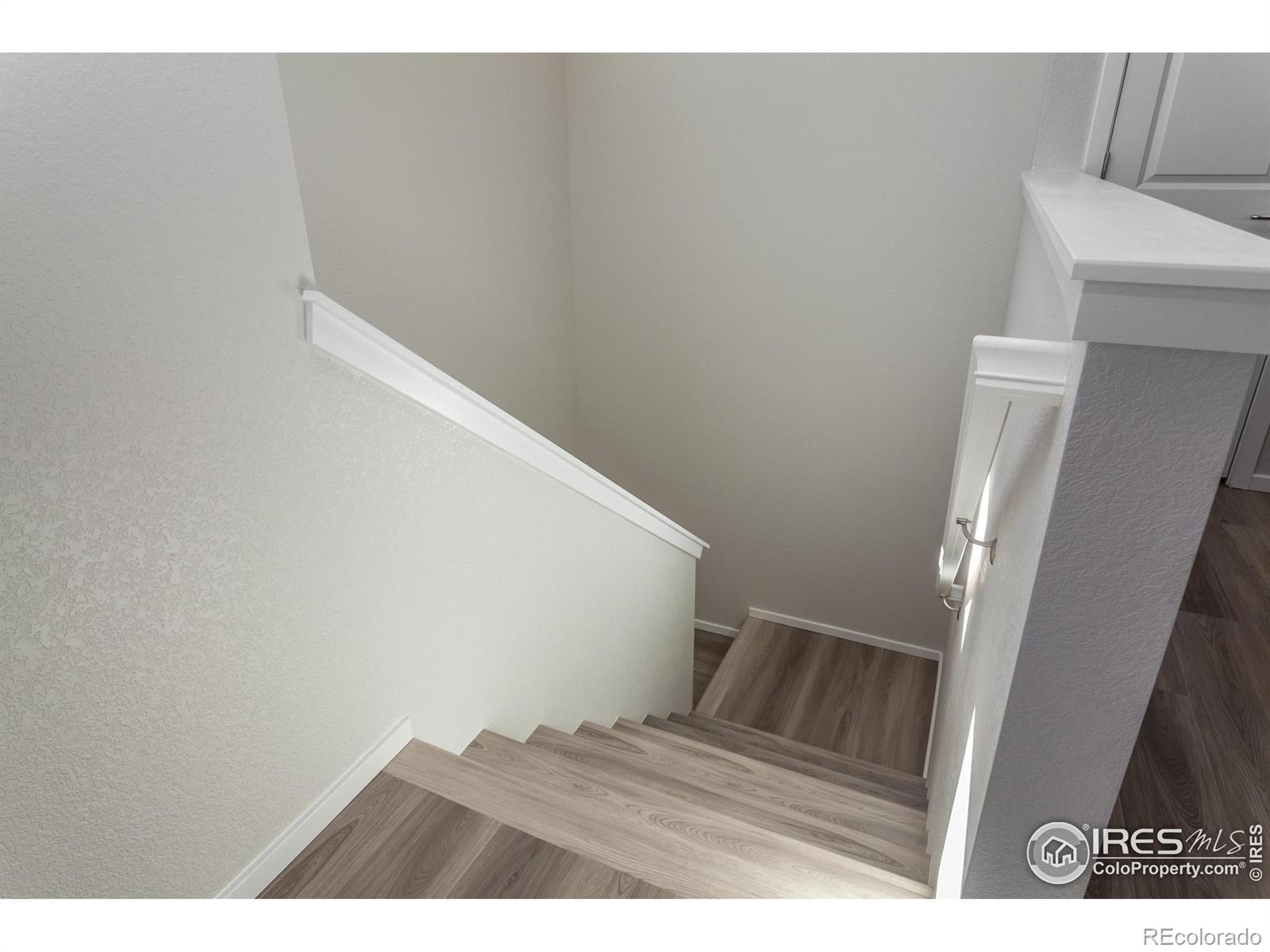 MLS Image #4 for 2120  falling leaf drive,windsor, Colorado