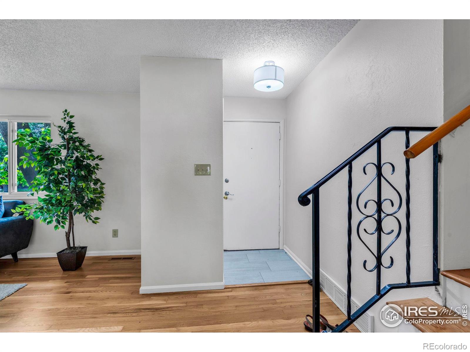 MLS Image #3 for 1426  brookfield drive,longmont, Colorado