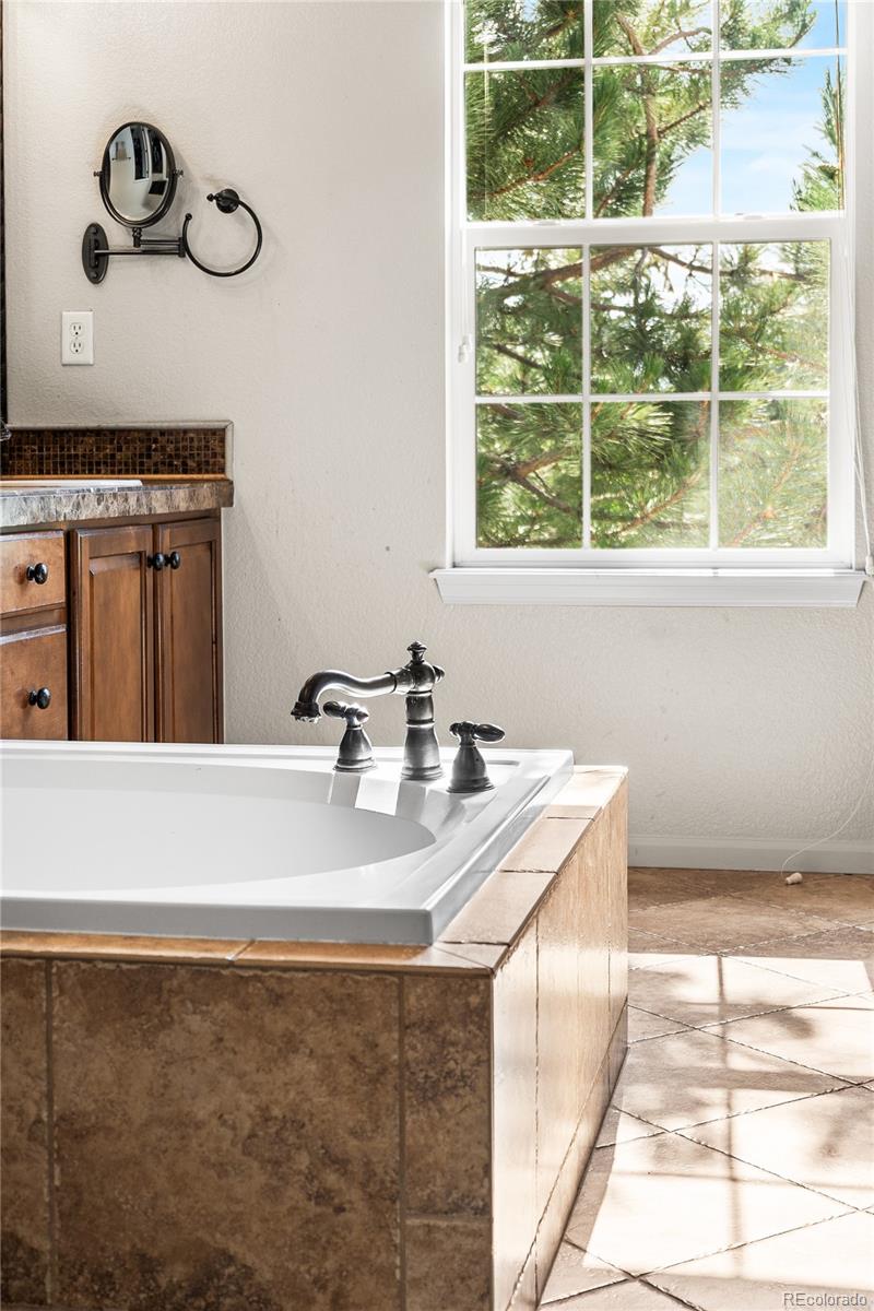 MLS Image #16 for 2877  craig court,castle rock, Colorado