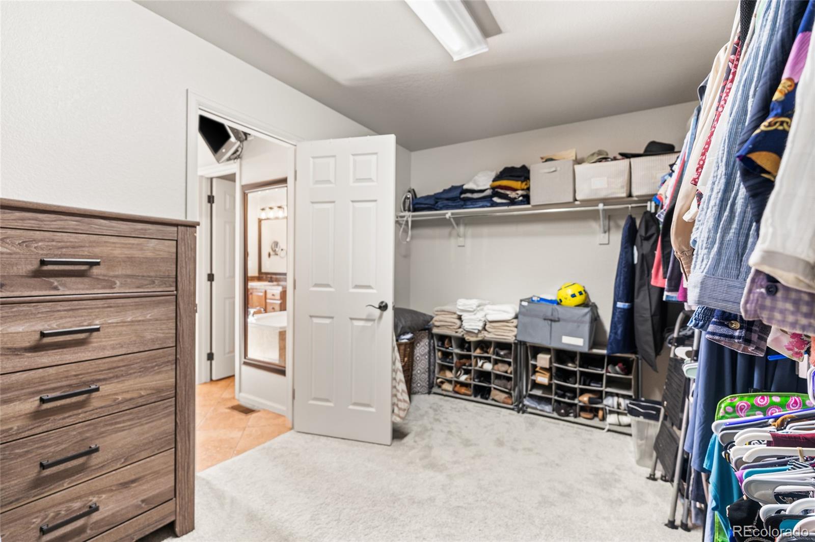 MLS Image #18 for 2877  craig court,castle rock, Colorado