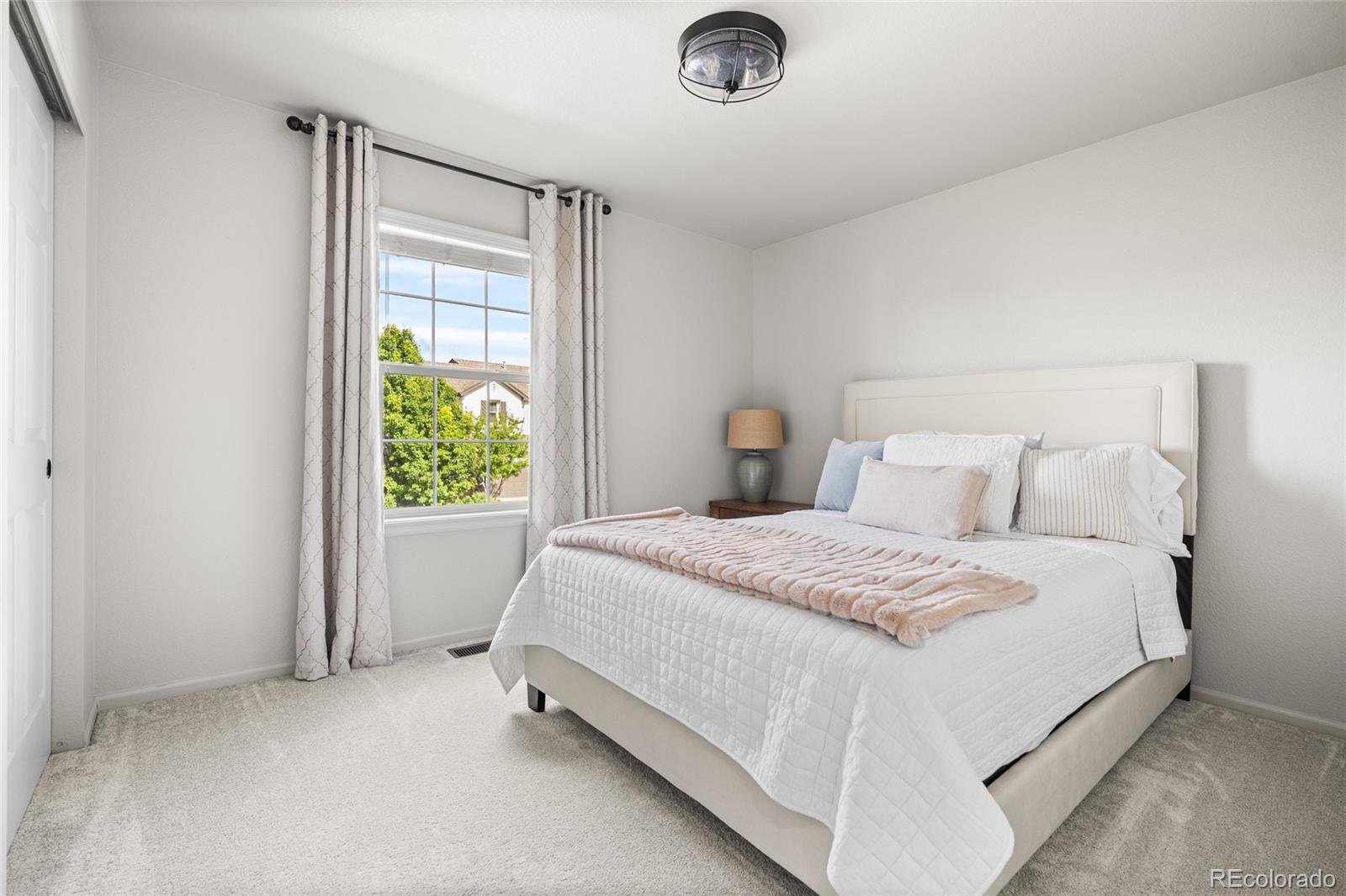 MLS Image #19 for 2877  craig court,castle rock, Colorado