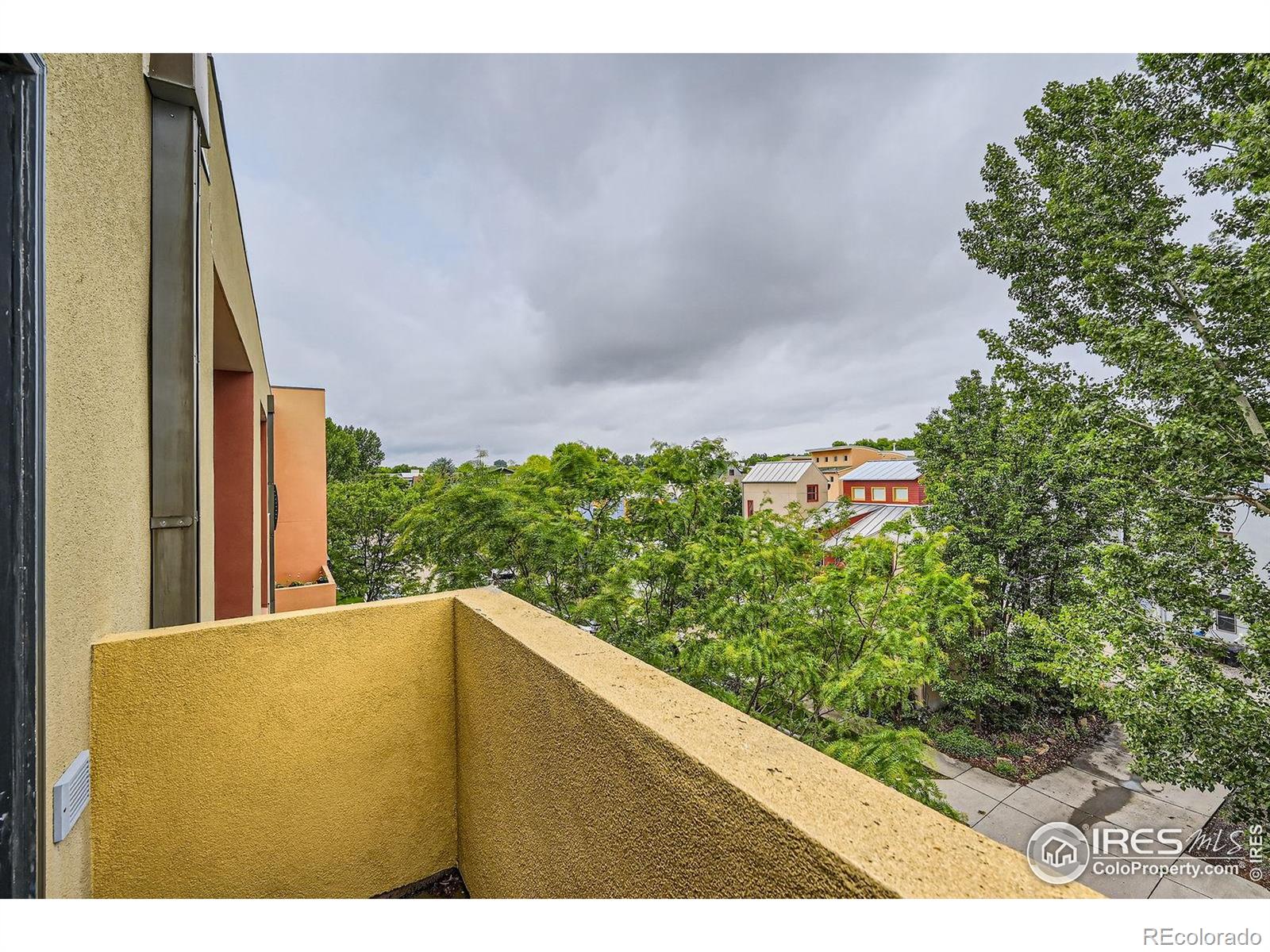 MLS Image #19 for 801  confidence drive,longmont, Colorado