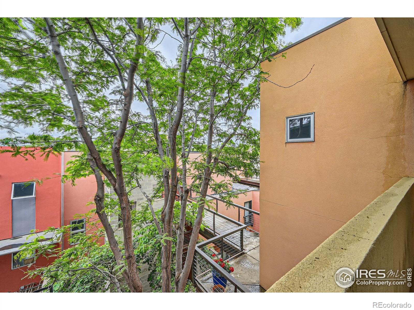 MLS Image #20 for 801  confidence drive,longmont, Colorado