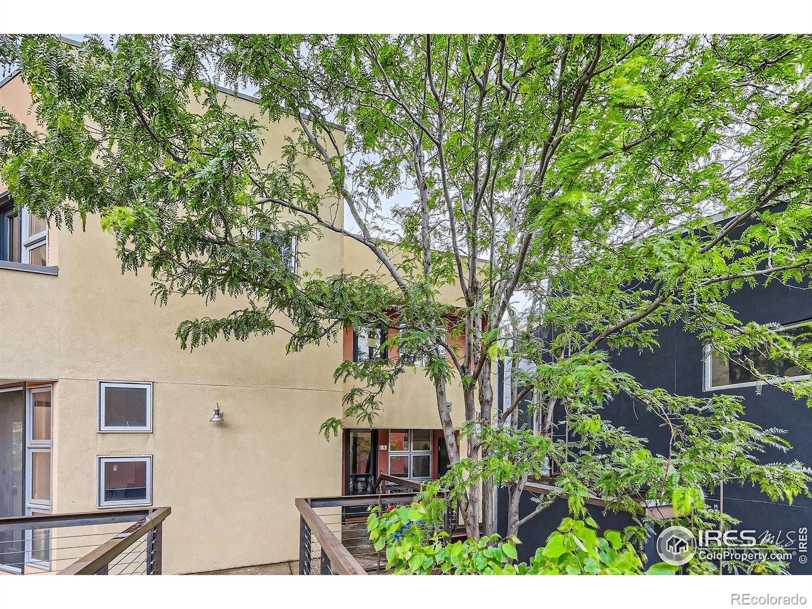 MLS Image #35 for 801  confidence drive,longmont, Colorado