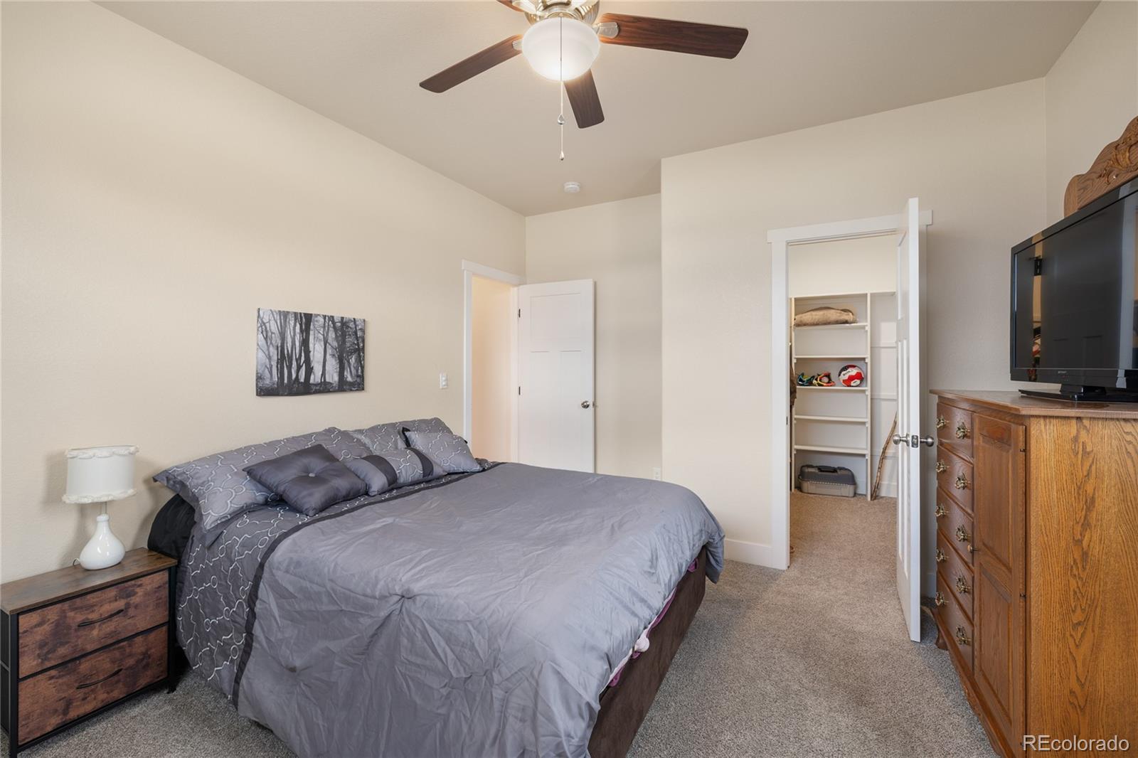 MLS Image #23 for 31350  glenview drive,buena vista, Colorado