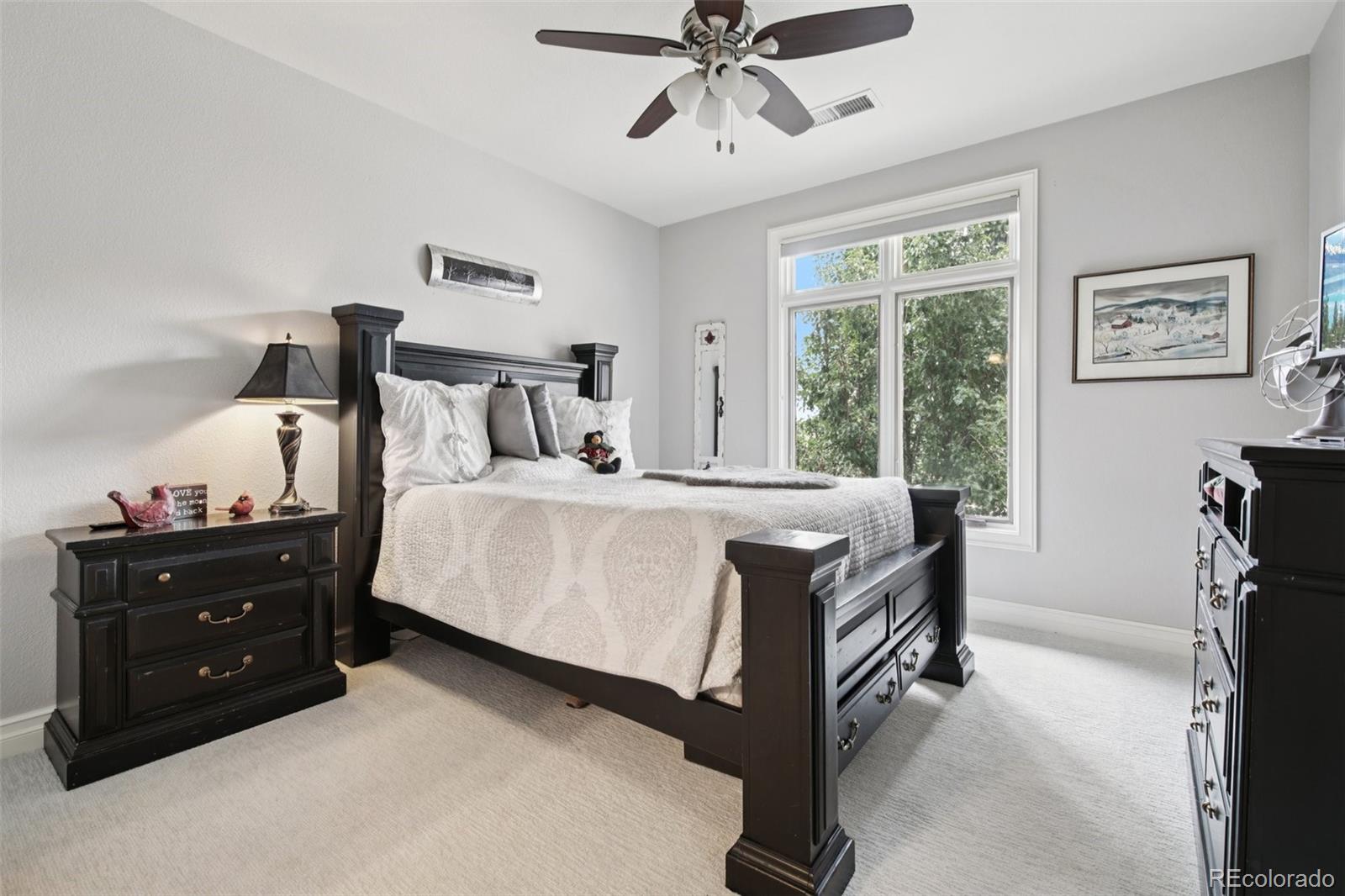 MLS Image #23 for 9737  elkhorn street,littleton, Colorado