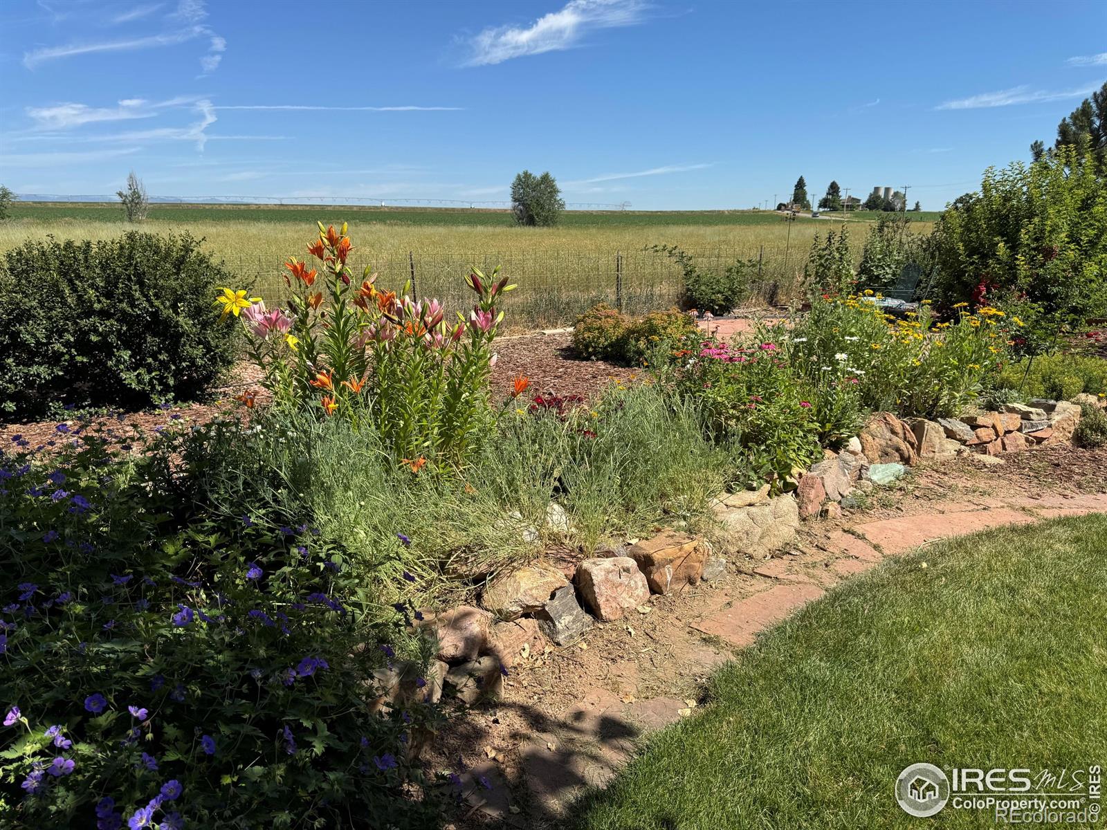 MLS Image #31 for 11895  oxford road,longmont, Colorado