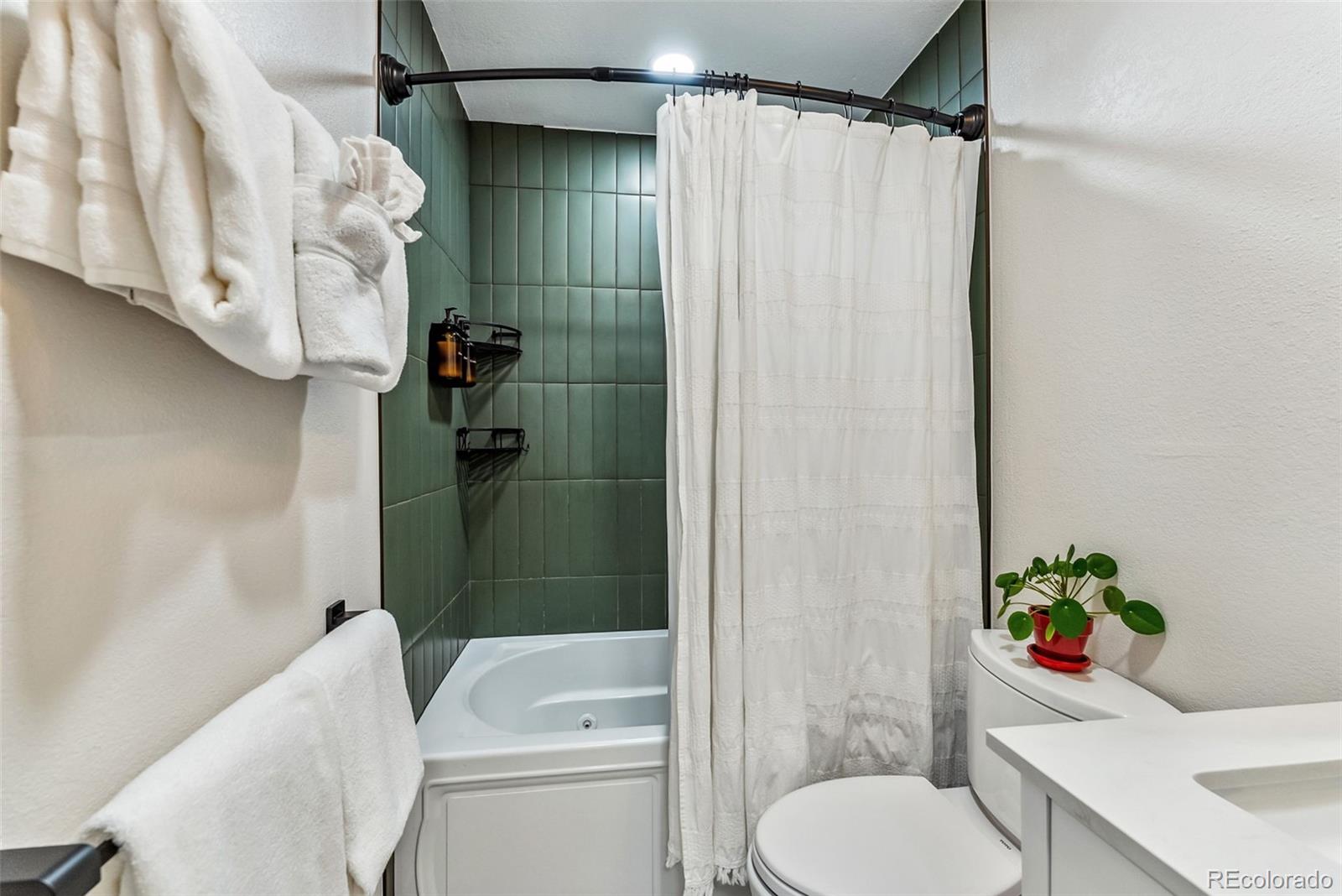 MLS Image #21 for 249 e coyote court,silverthorne, Colorado
