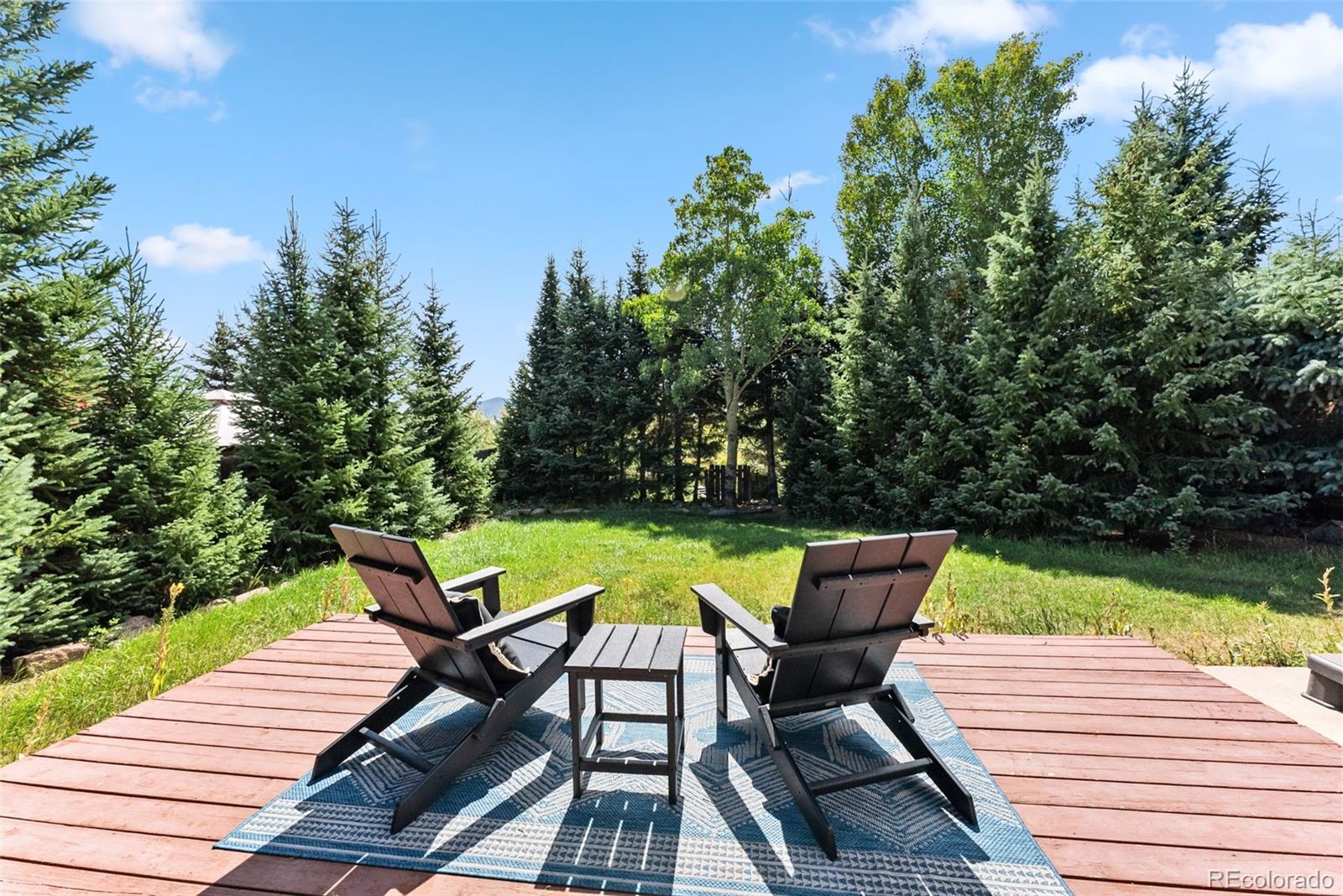MLS Image #31 for 249 e coyote court,silverthorne, Colorado