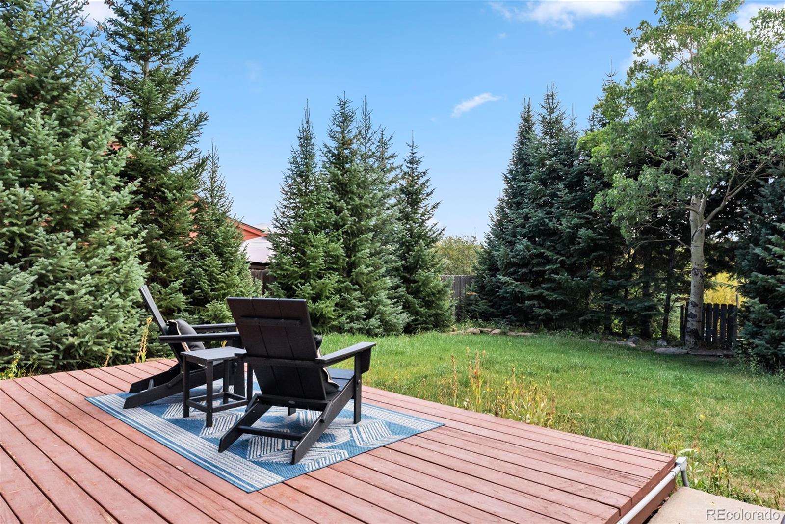 MLS Image #32 for 249 e coyote court,silverthorne, Colorado