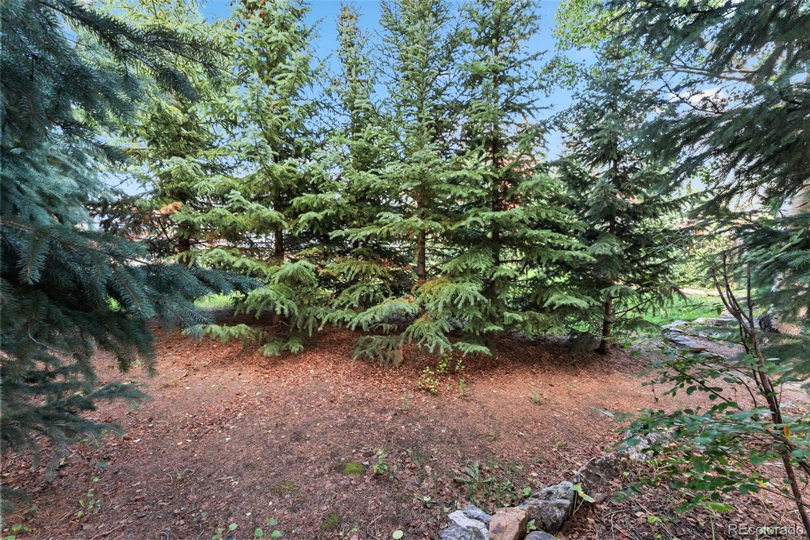 MLS Image #34 for 249 e coyote court,silverthorne, Colorado