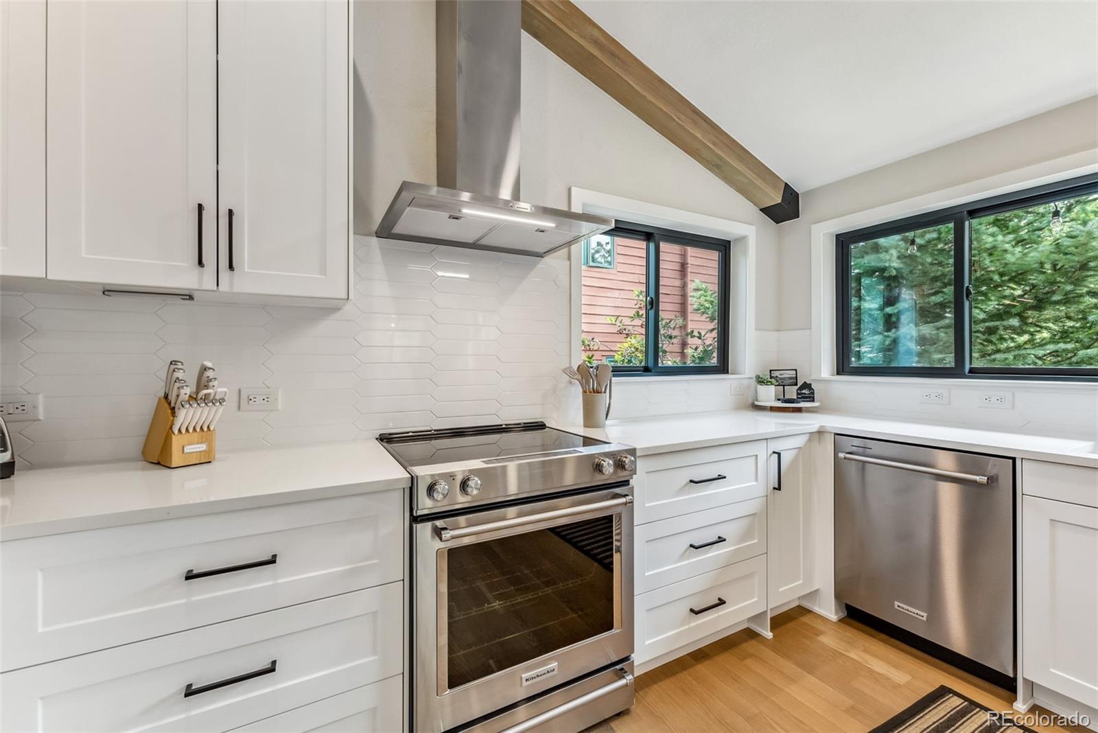 MLS Image #8 for 249 e coyote court,silverthorne, Colorado
