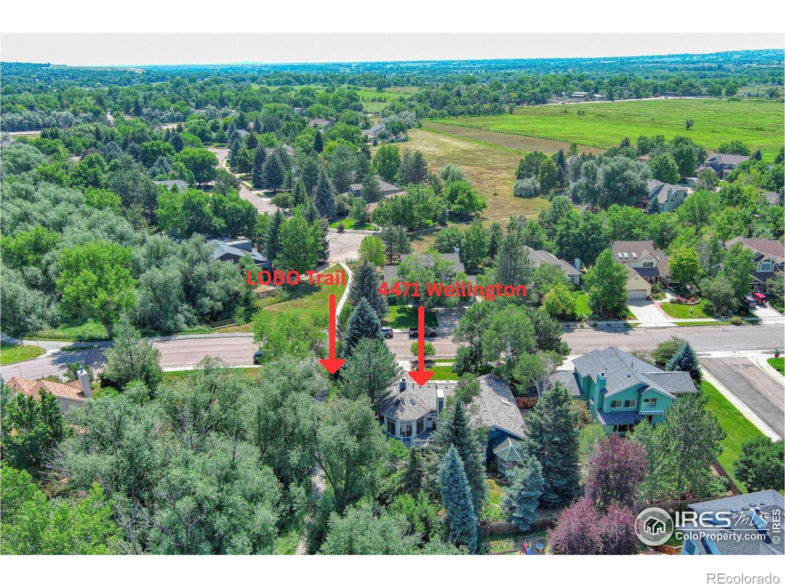 MLS Image #34 for 4471  wellington road,boulder, Colorado