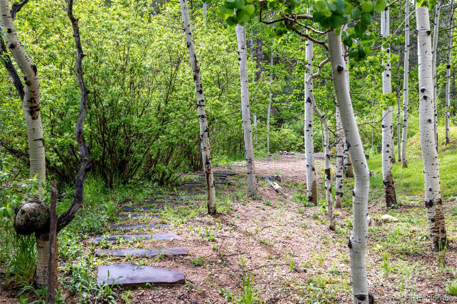 MLS Image #39 for 31390  highway 72 ,golden, Colorado