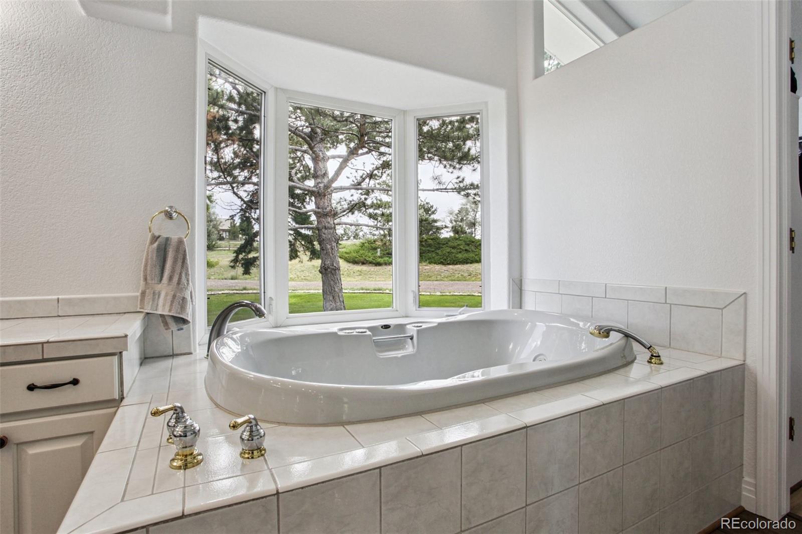 MLS Image #13 for 13671  travois trail,parker, Colorado