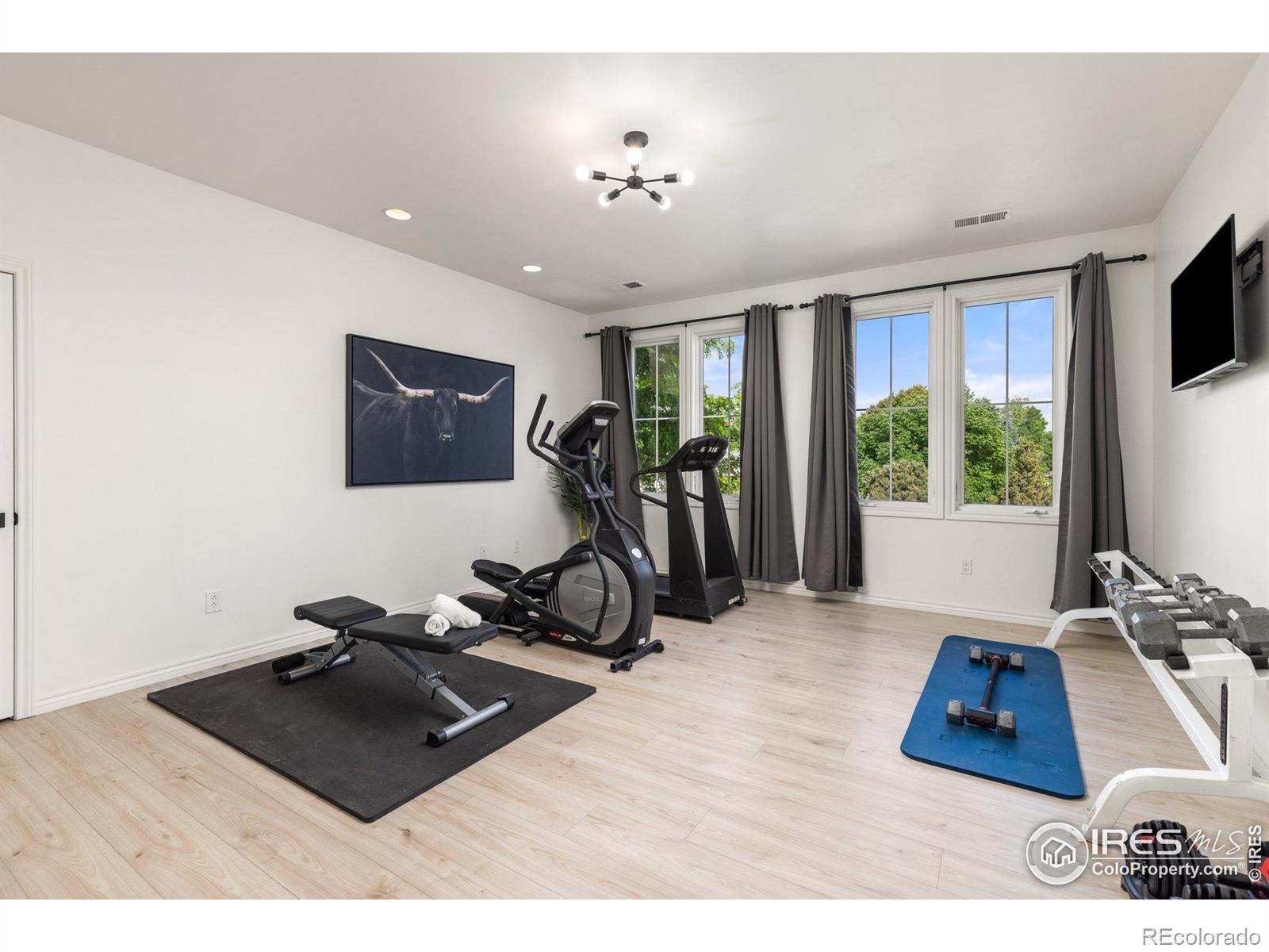 MLS Image #29 for 16636  krameria way,brighton, Colorado