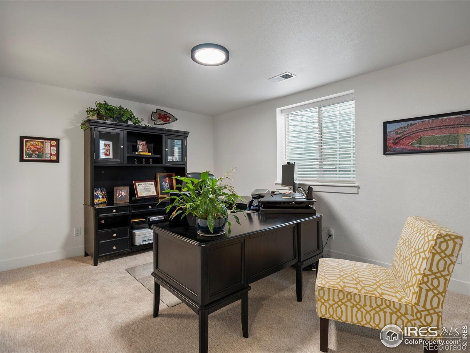 MLS Image #33 for 9035 s shawnee court,aurora, Colorado