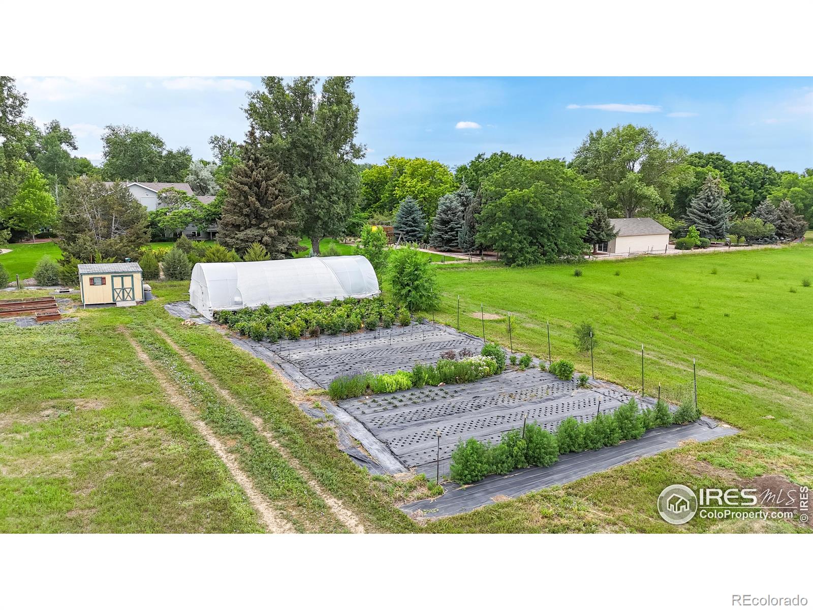 MLS Image #12 for 512 e county road 30 ,fort collins, Colorado