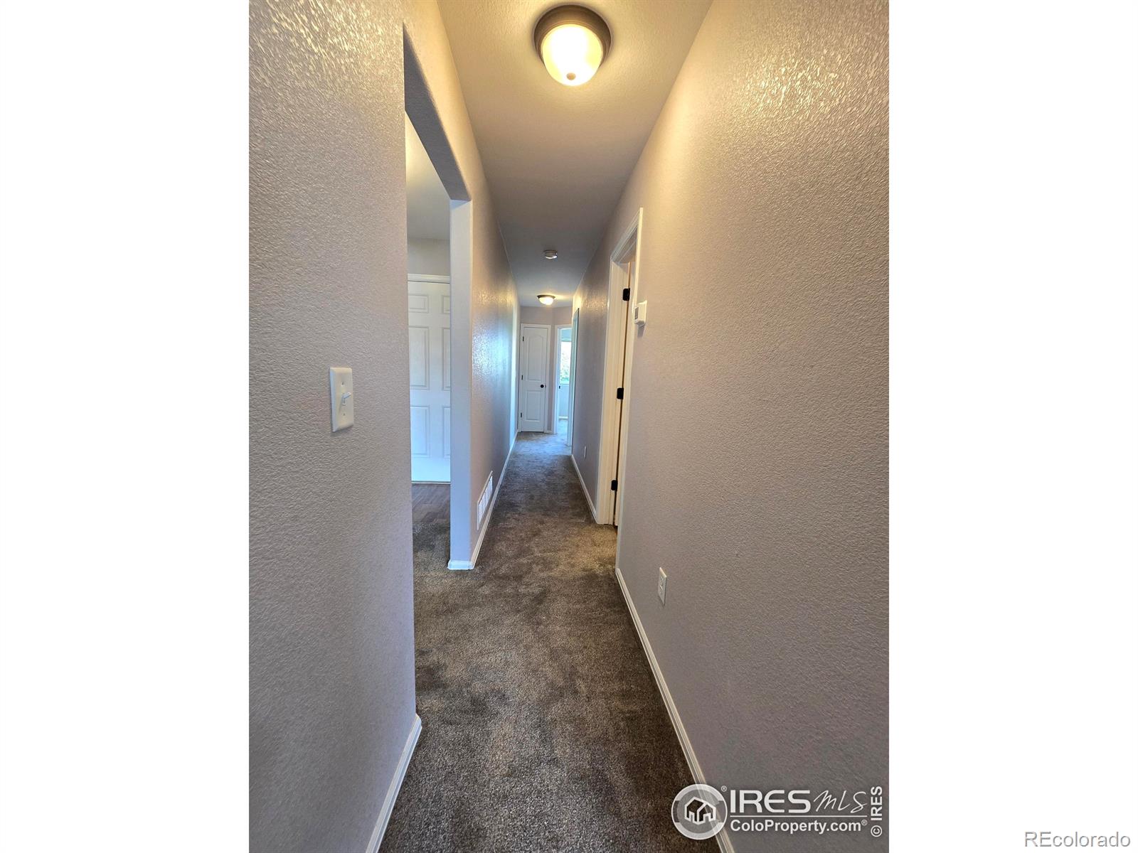 MLS Image #12 for 1541  water vista lane,windsor, Colorado