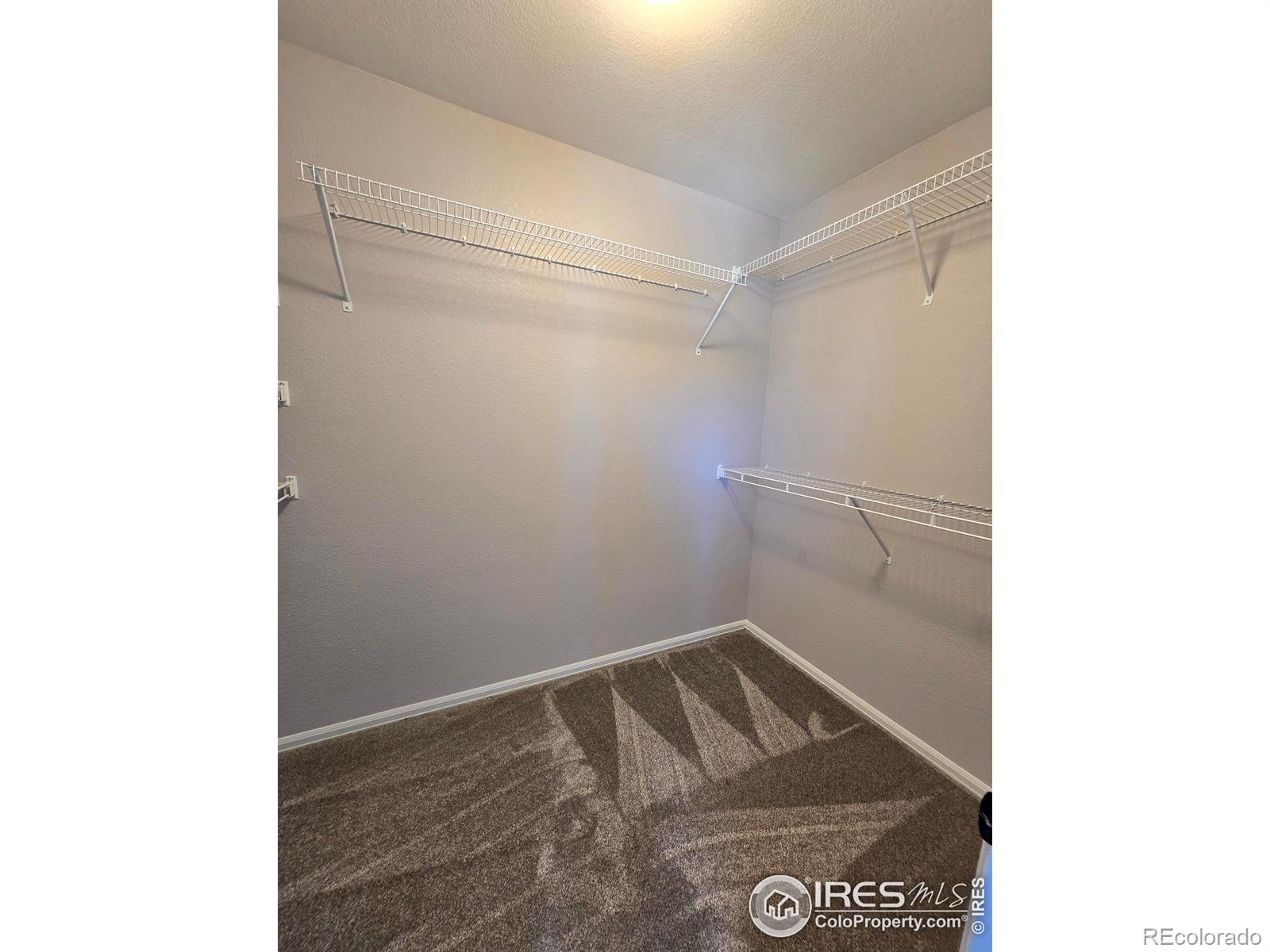 MLS Image #8 for 1541  water vista lane,windsor, Colorado
