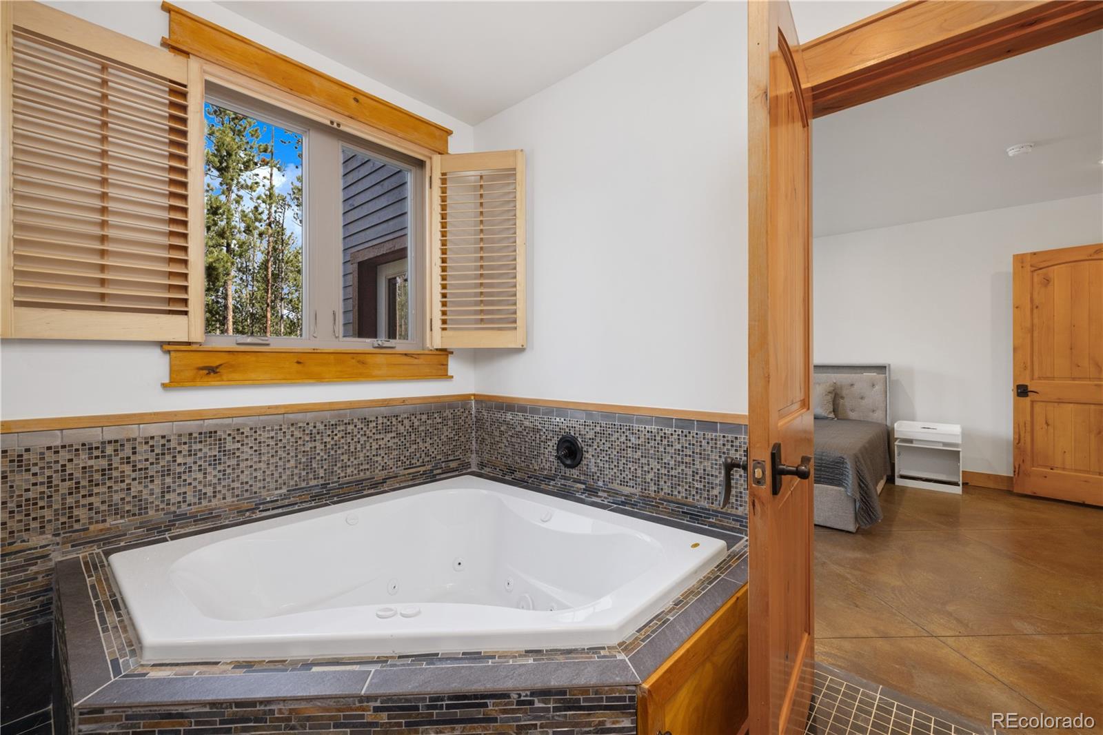 MLS Image #21 for 121  shekel lane,breckenridge, Colorado