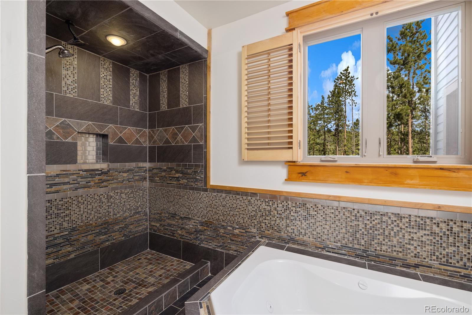 MLS Image #22 for 121  shekel lane,breckenridge, Colorado