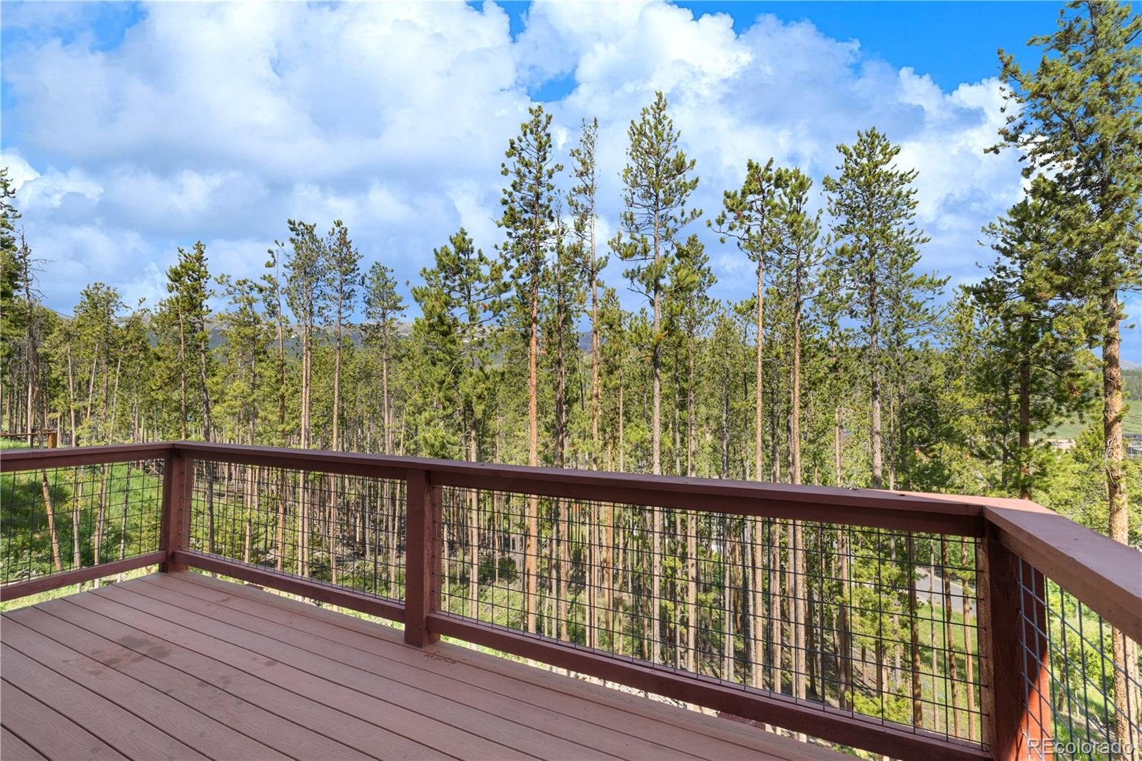 MLS Image #31 for 121  shekel lane,breckenridge, Colorado