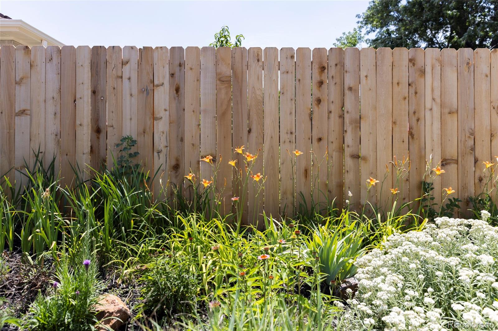MLS Image #36 for 1759  olive street,denver, Colorado
