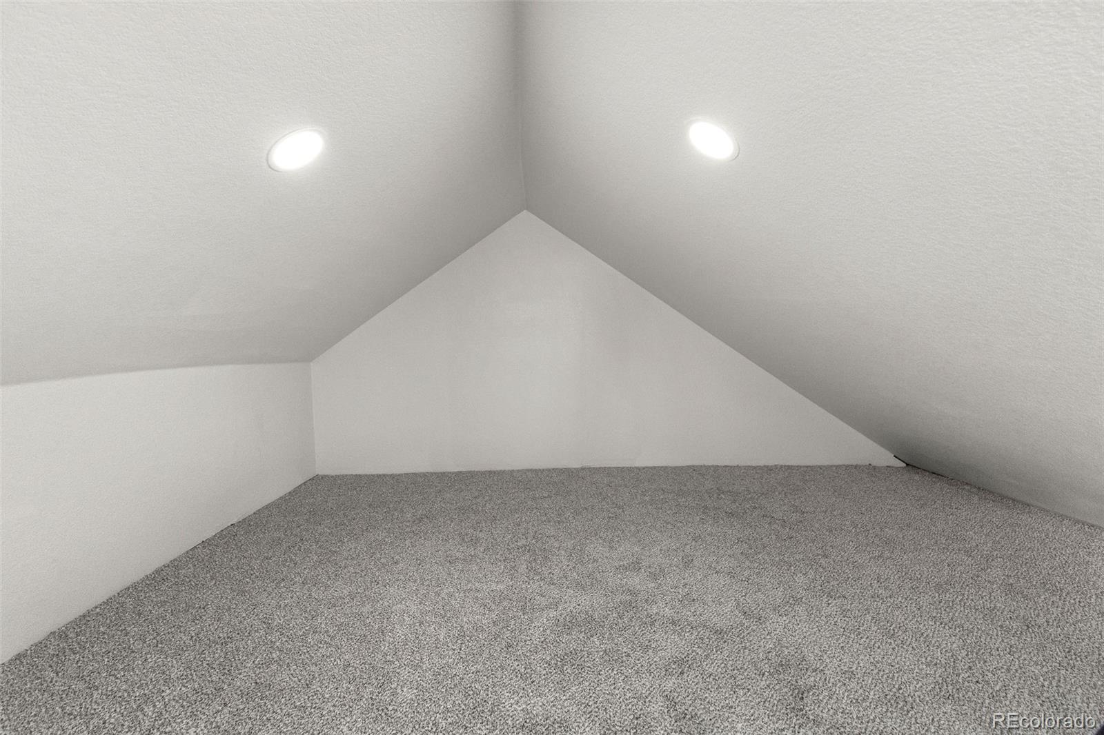 MLS Image #16 for 3919 n humboldt street,denver, Colorado