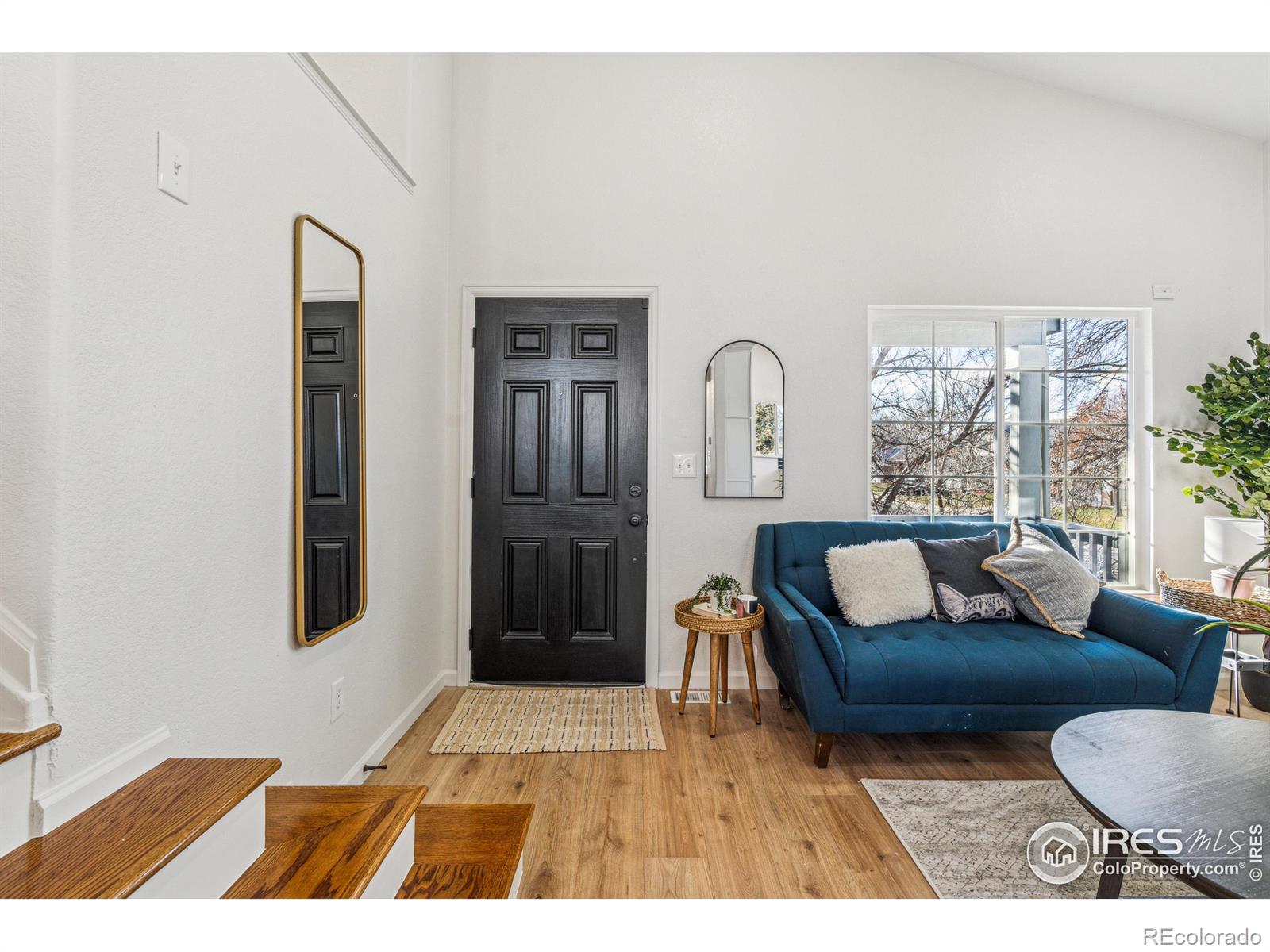 MLS Image #6 for 608  bluegrass drive,longmont, Colorado