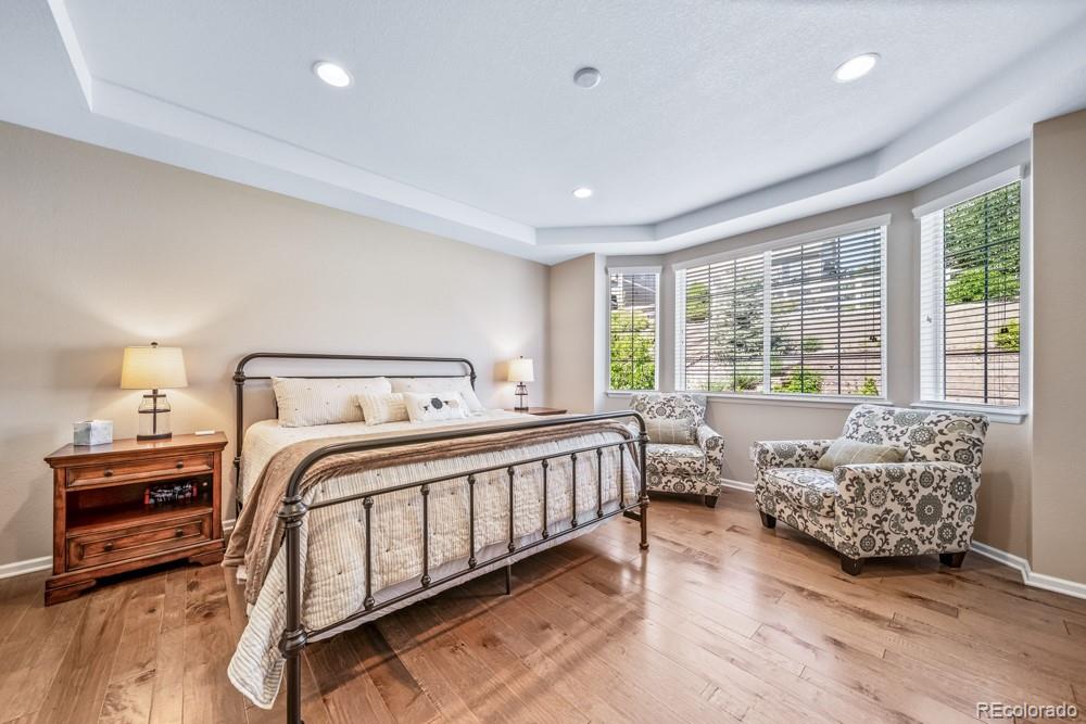 MLS Image #18 for 5865  clover ridge circle,castle rock, Colorado