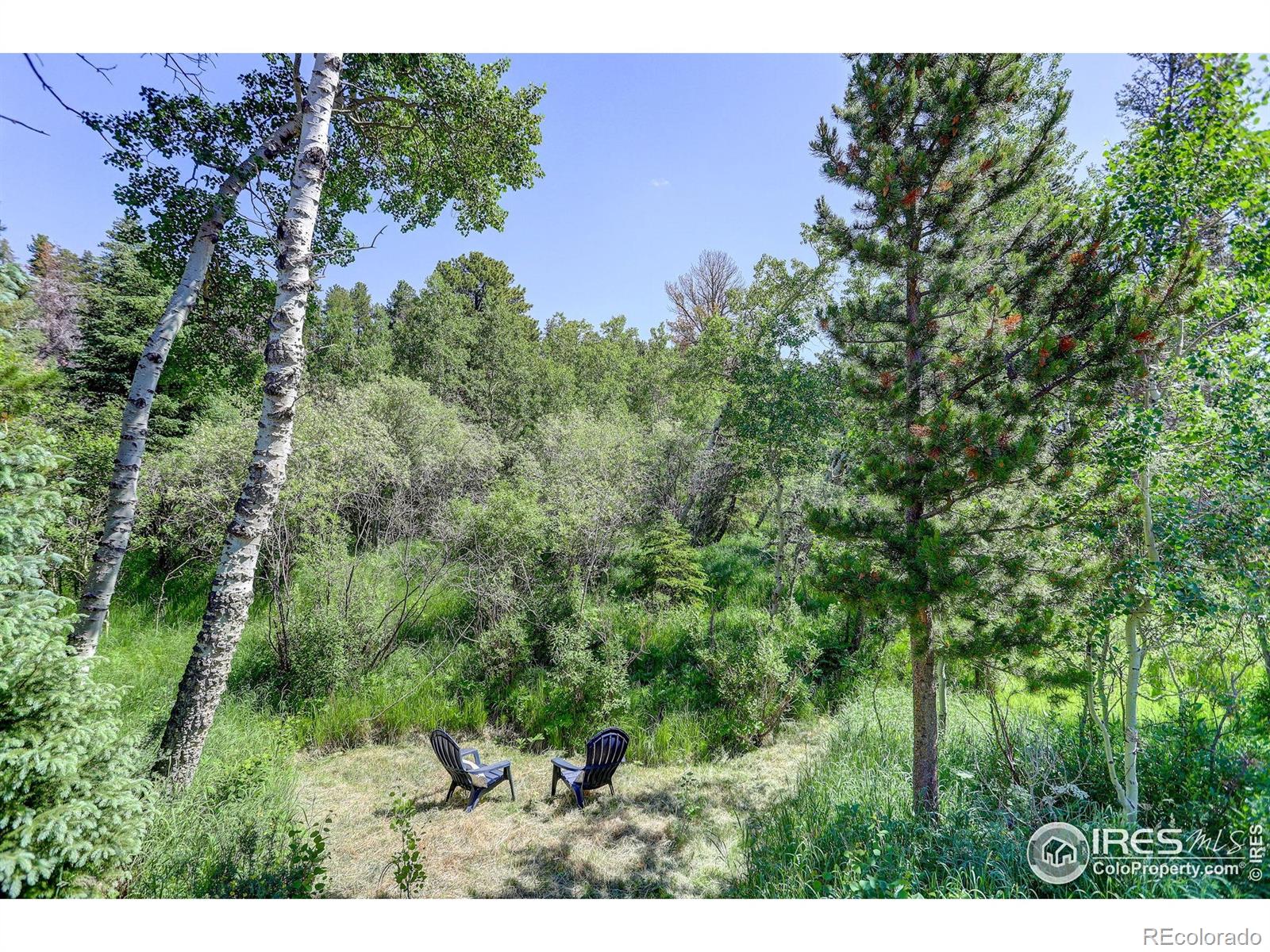 MLS Image #6 for 356 w dory way,black hawk, Colorado