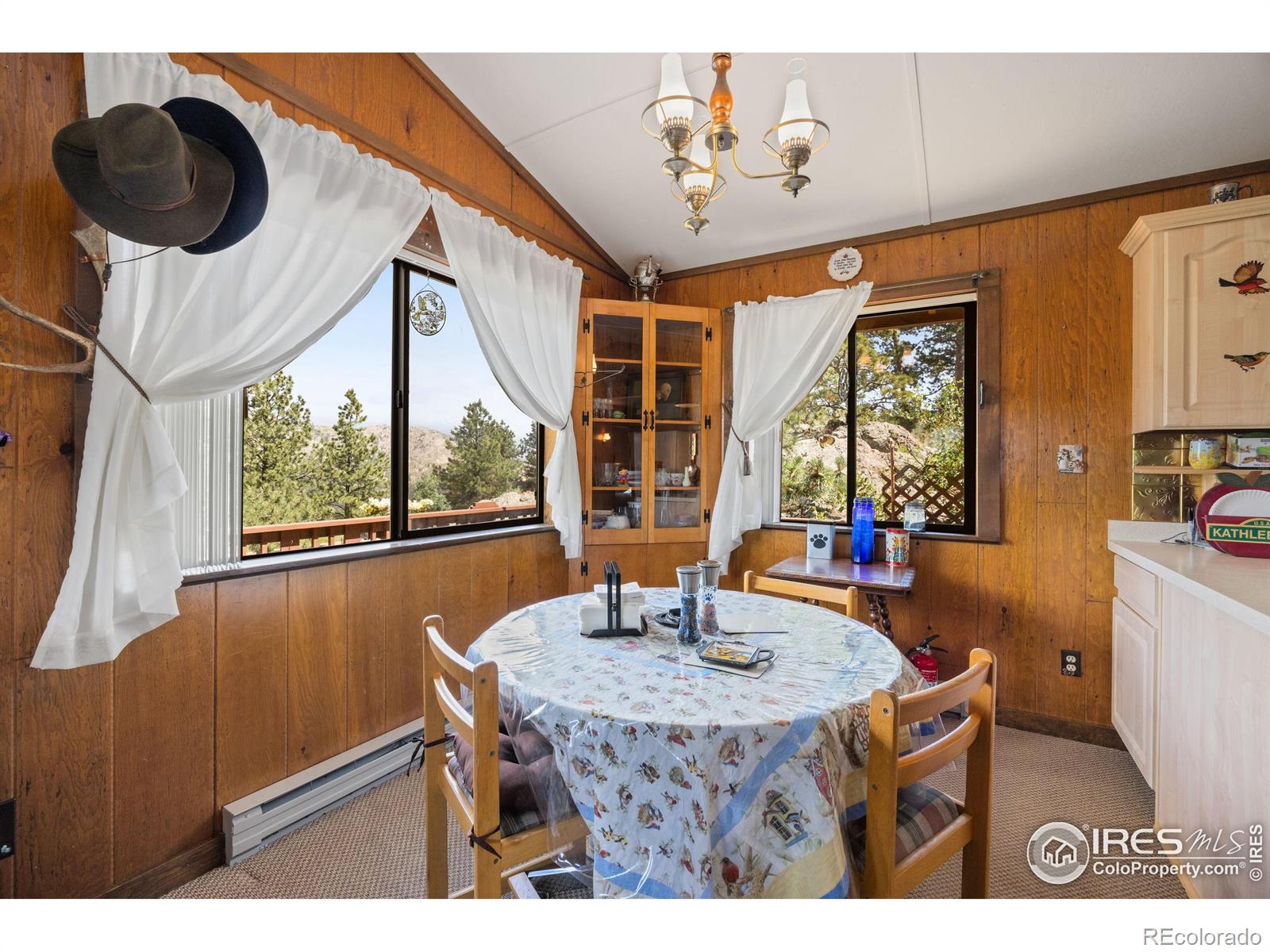 MLS Image #15 for 760  palisade mountain drive,drake, Colorado