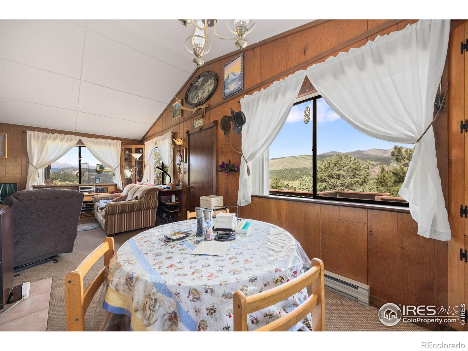 MLS Image #19 for 760  palisade mountain drive,drake, Colorado