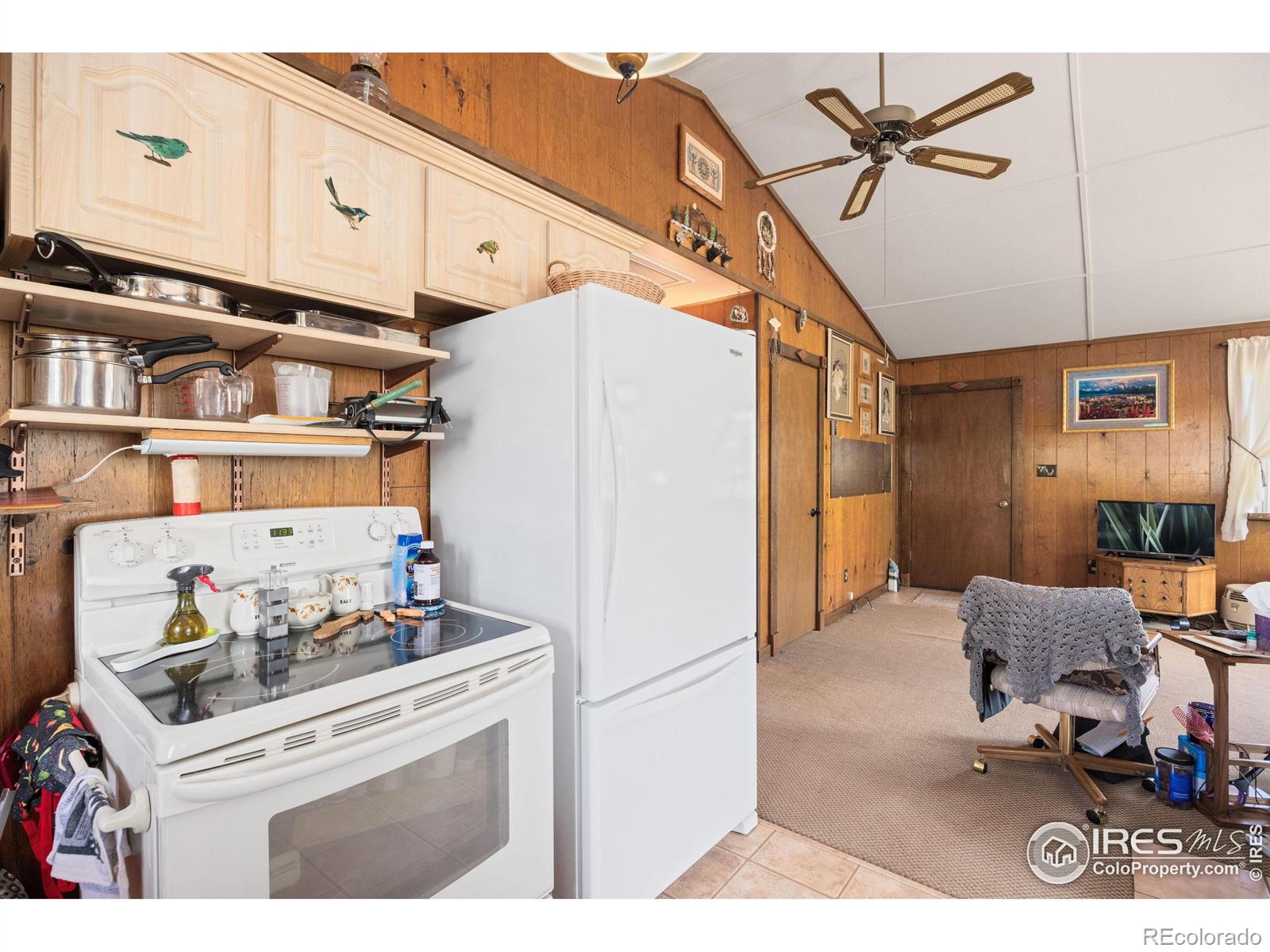 MLS Image #20 for 760  palisade mountain drive,drake, Colorado