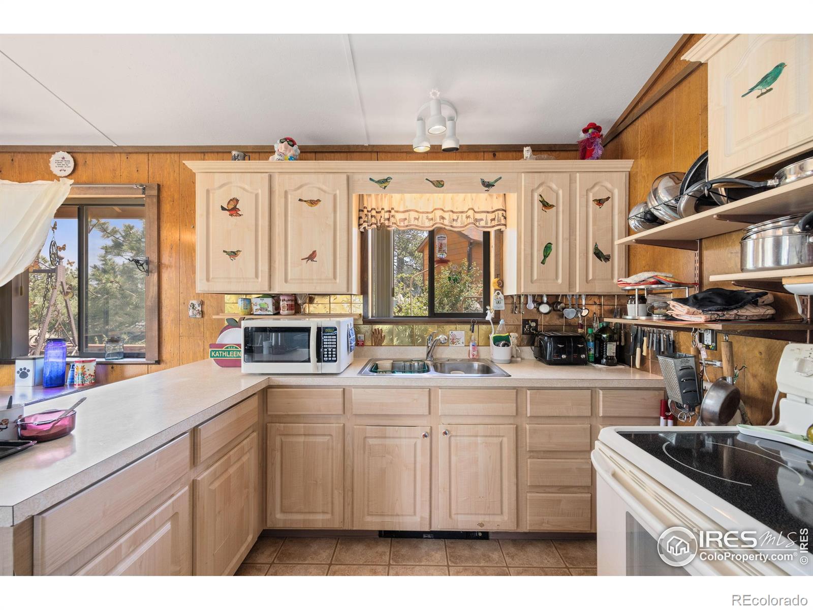MLS Image #21 for 760  palisade mountain drive,drake, Colorado