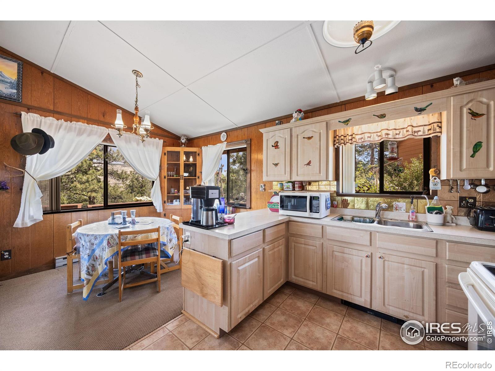 MLS Image #22 for 760  palisade mountain drive,drake, Colorado