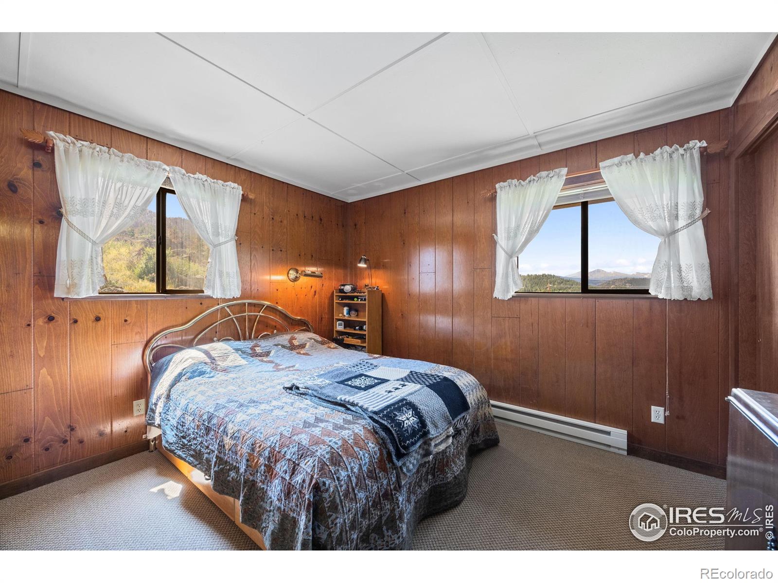 MLS Image #27 for 760  palisade mountain drive,drake, Colorado