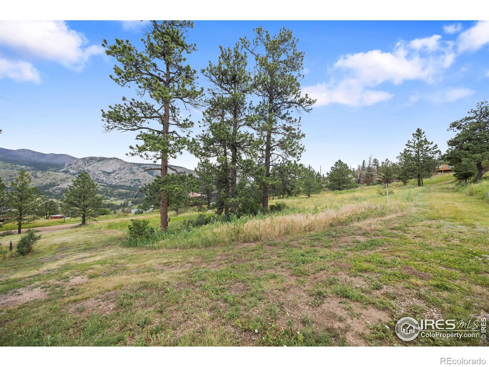 MLS Image #39 for 760  palisade mountain drive,drake, Colorado