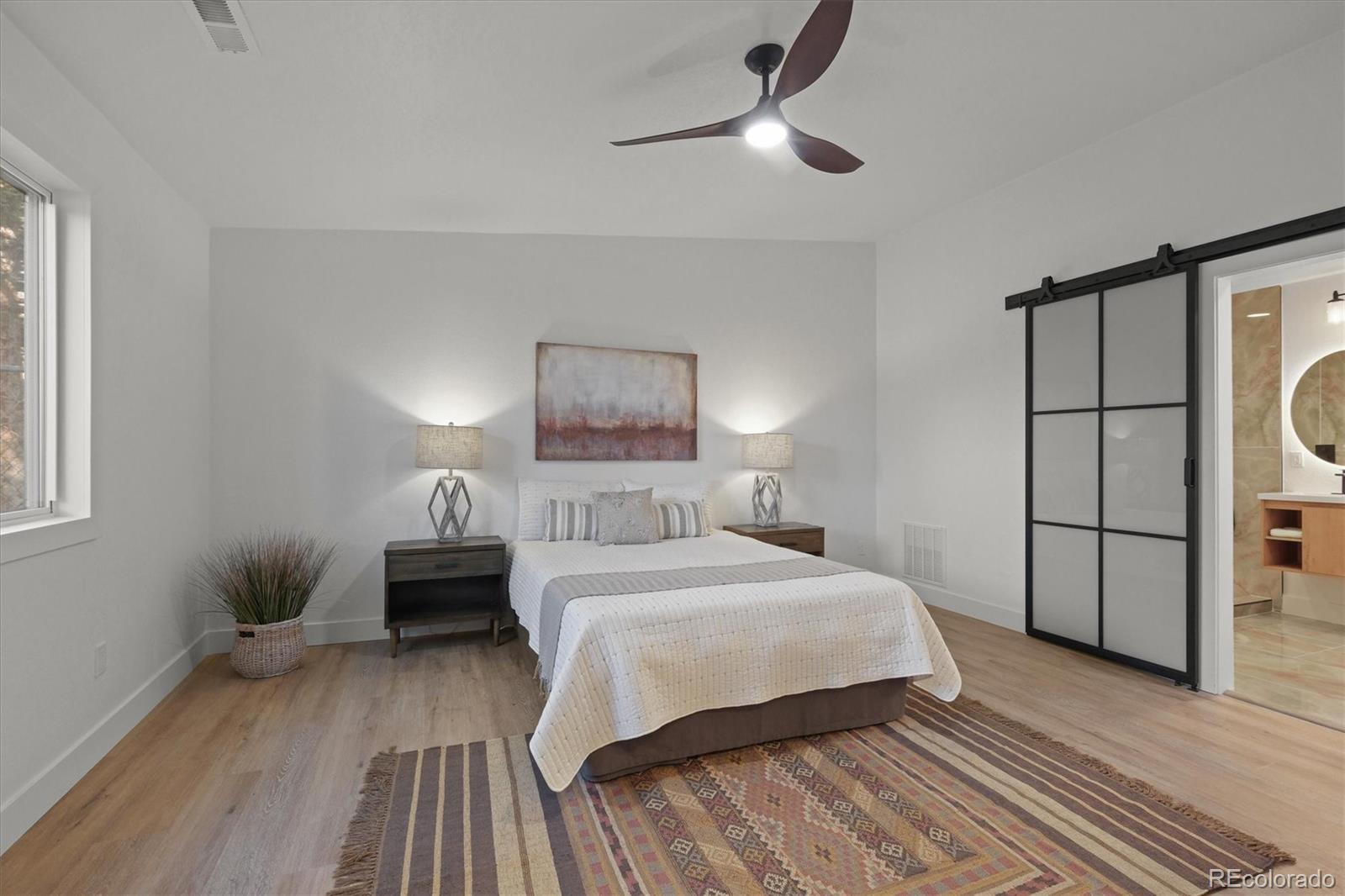 MLS Image #11 for 3025  ivanhoe street,denver, Colorado