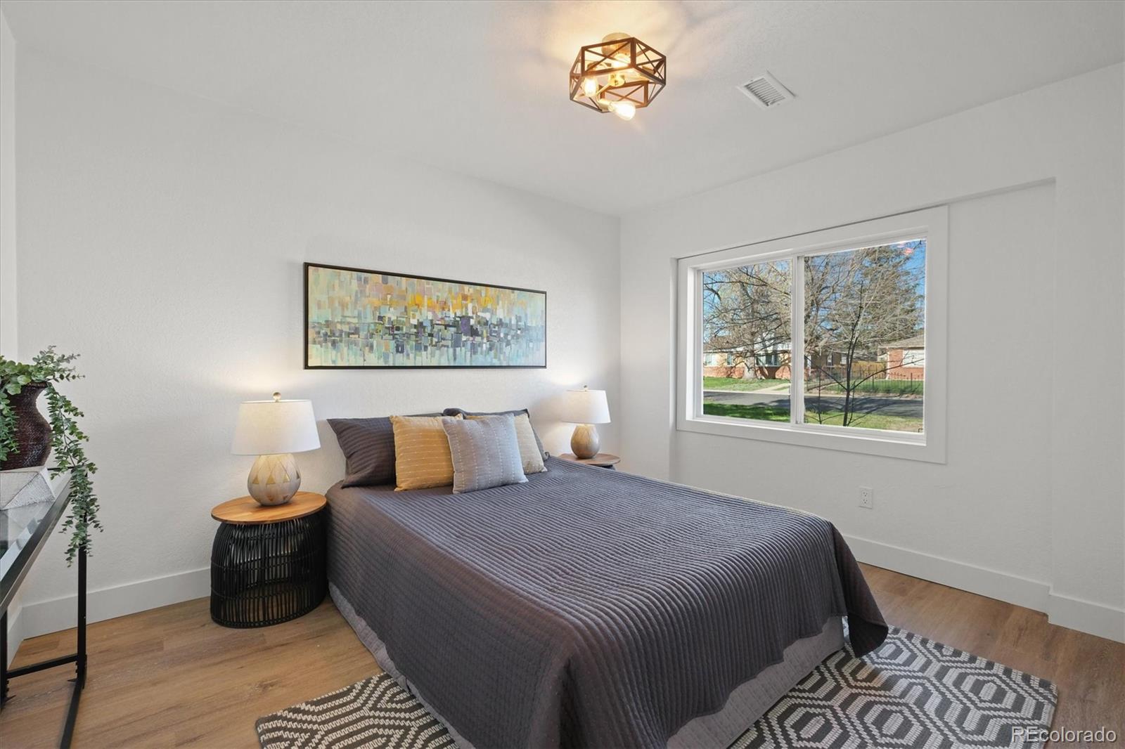 MLS Image #20 for 3025  ivanhoe street,denver, Colorado
