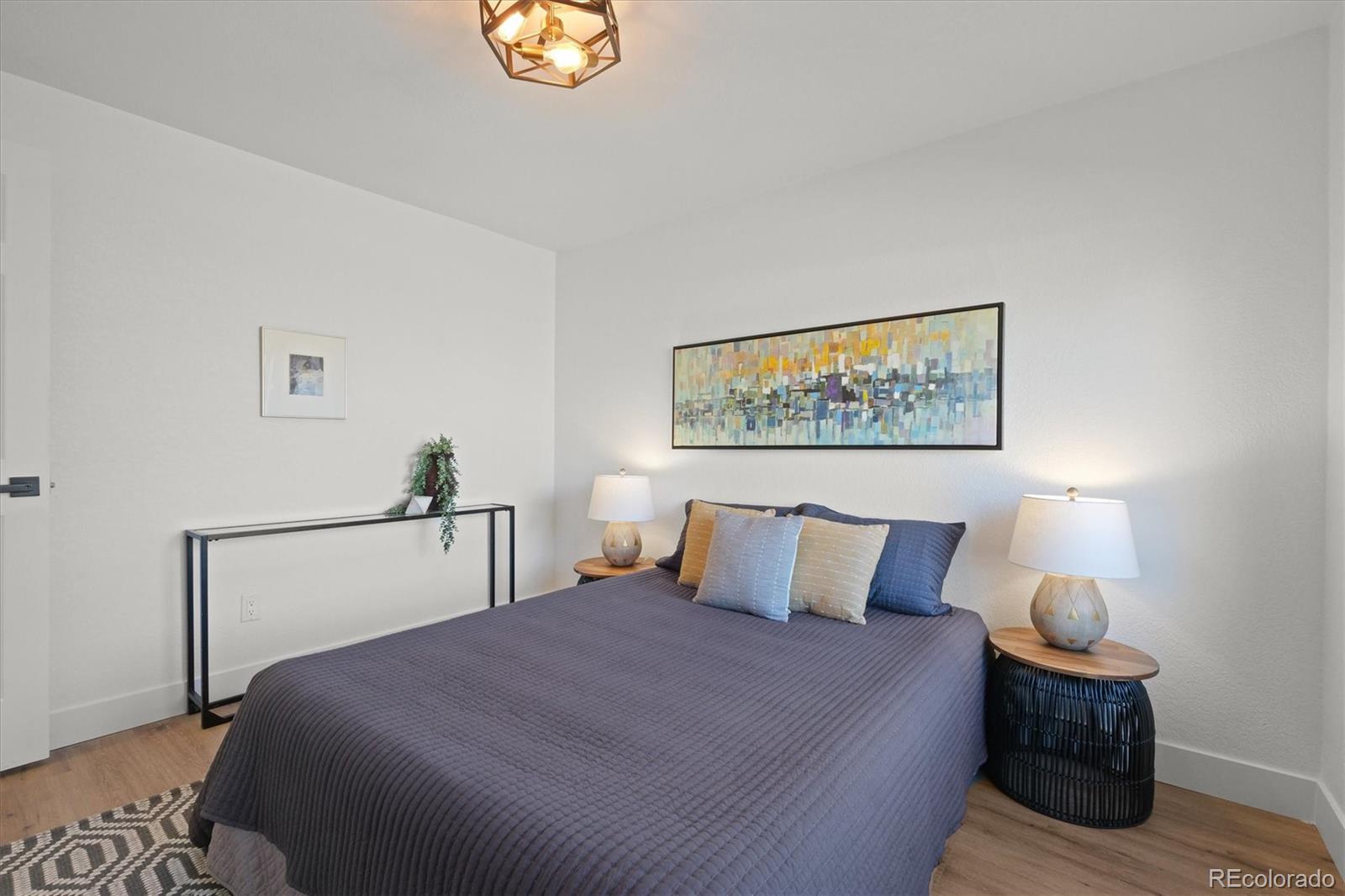 MLS Image #22 for 3025  ivanhoe street,denver, Colorado