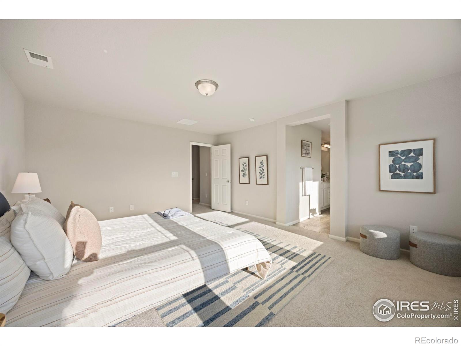 MLS Image #16 for 5217  alberta falls street,timnath, Colorado