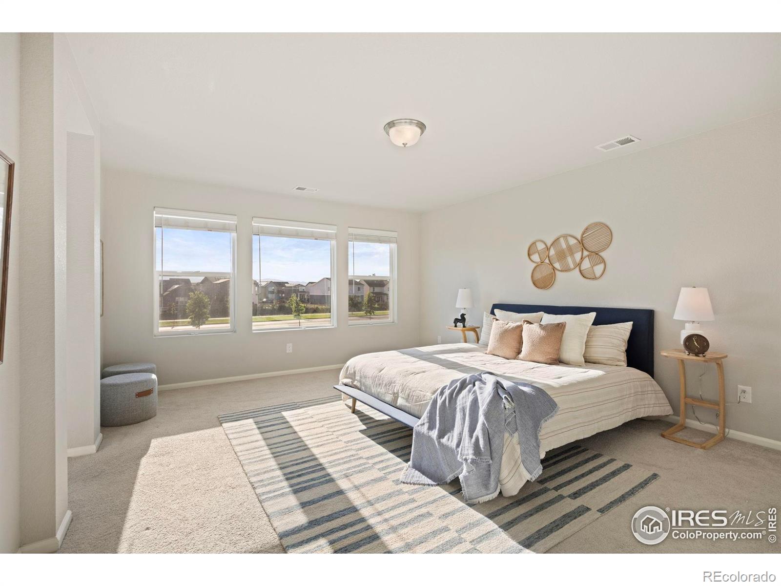 MLS Image #17 for 5217  alberta falls street,timnath, Colorado