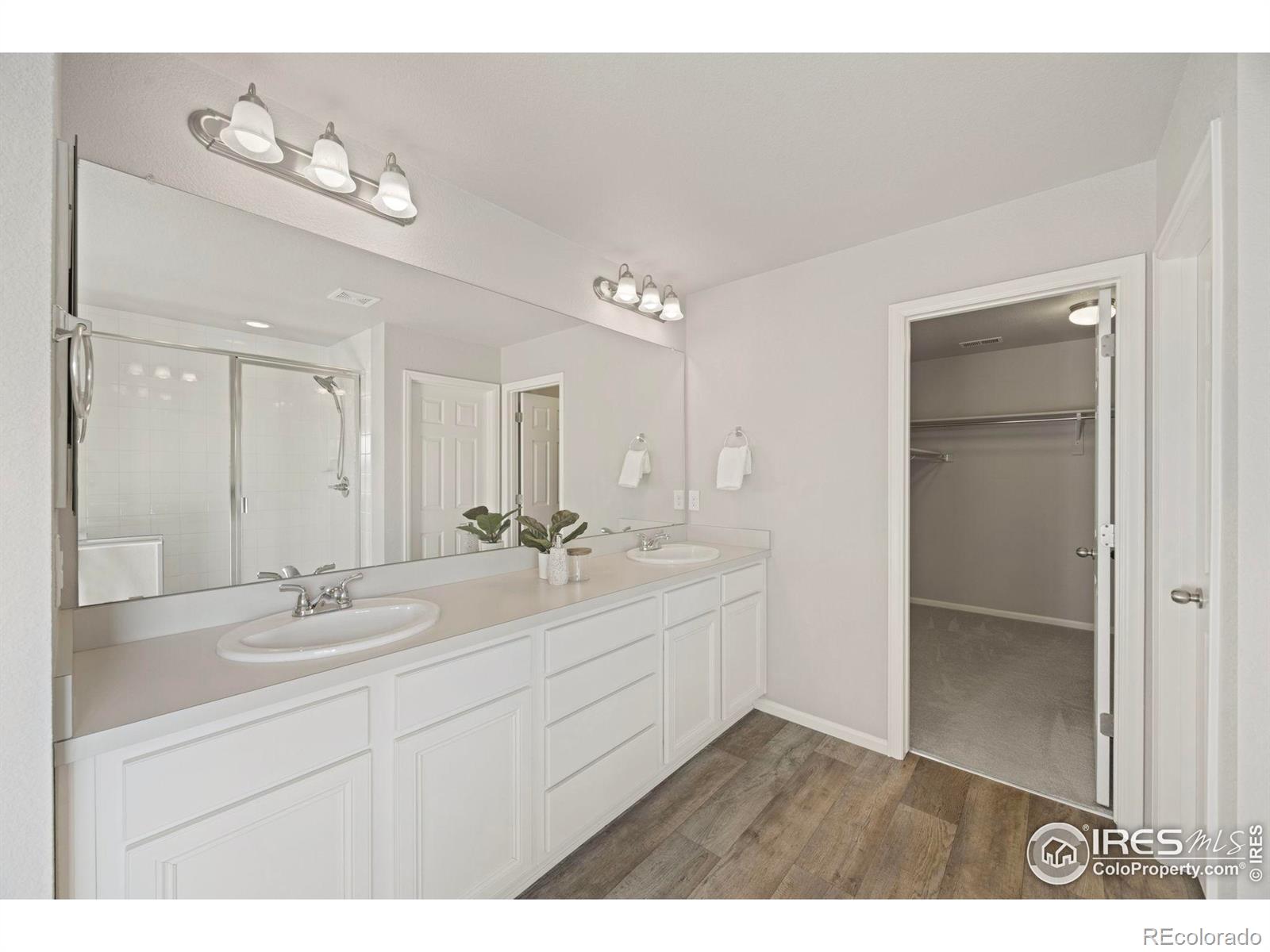MLS Image #18 for 5217  alberta falls street,timnath, Colorado