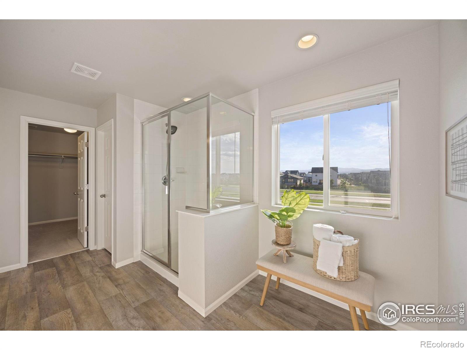 MLS Image #19 for 5217  alberta falls street,timnath, Colorado