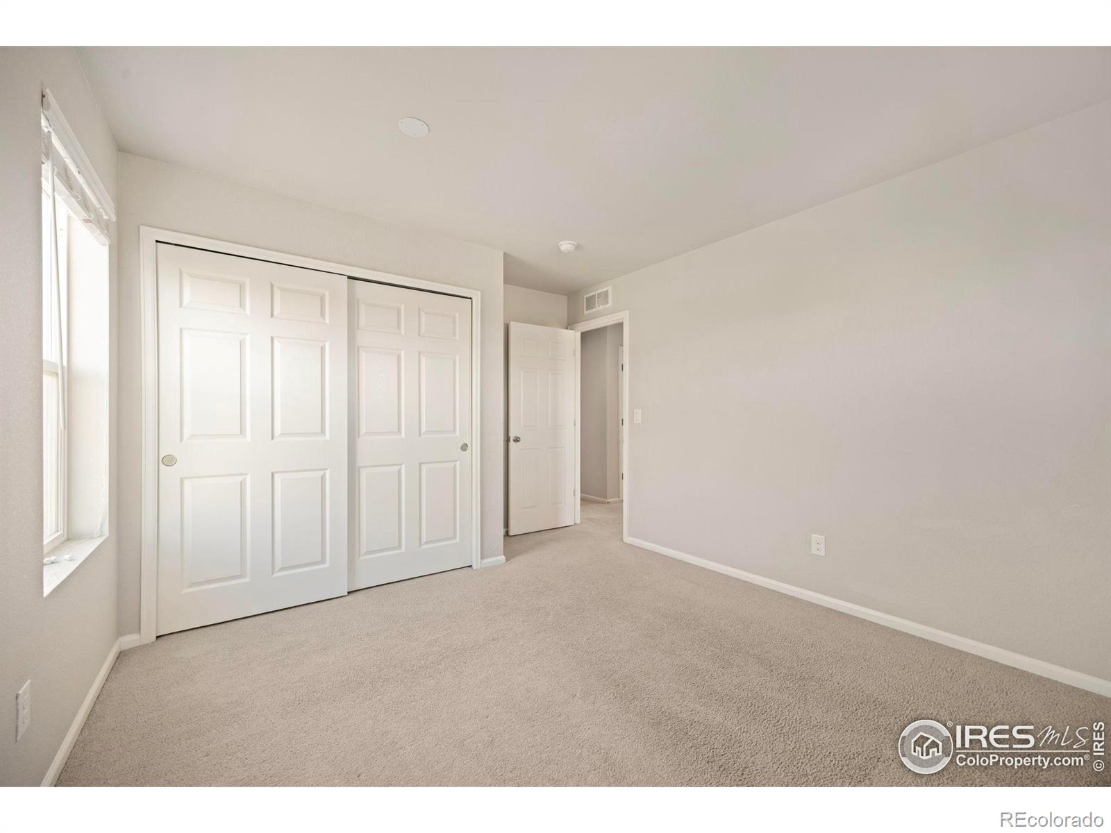 MLS Image #21 for 5217  alberta falls street,timnath, Colorado