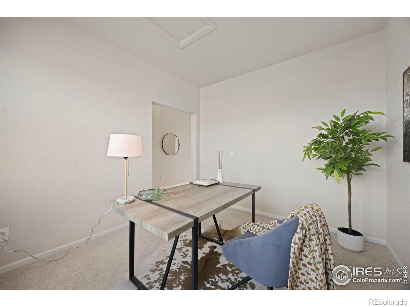 MLS Image #3 for 5217  alberta falls street,timnath, Colorado